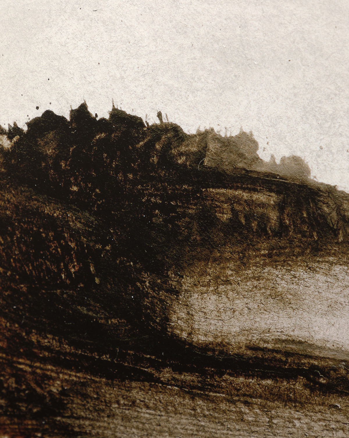 Woodbury by Dan Hobday features abstract black and brown brushstrokes forming a textured, wave-like shape on a neutral background, evoking a windswept hillside. This gallery-quality piece brings depth to any space.