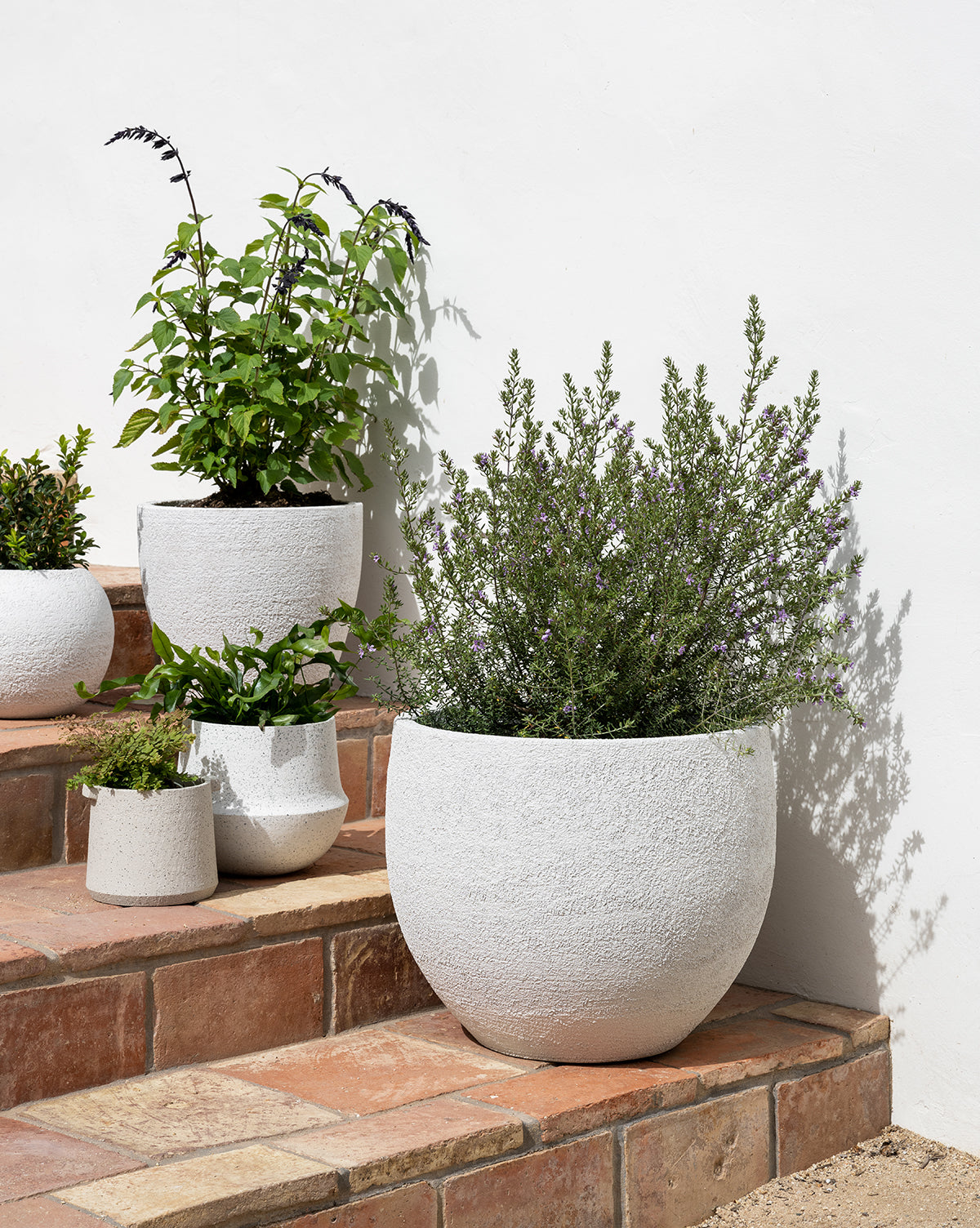 Four Bodie Fiberstone Planters in varying sizes, each holding lush green plants, are arranged on terracotta steps beside a white wall, creating a minimalist and modern outdoor display.