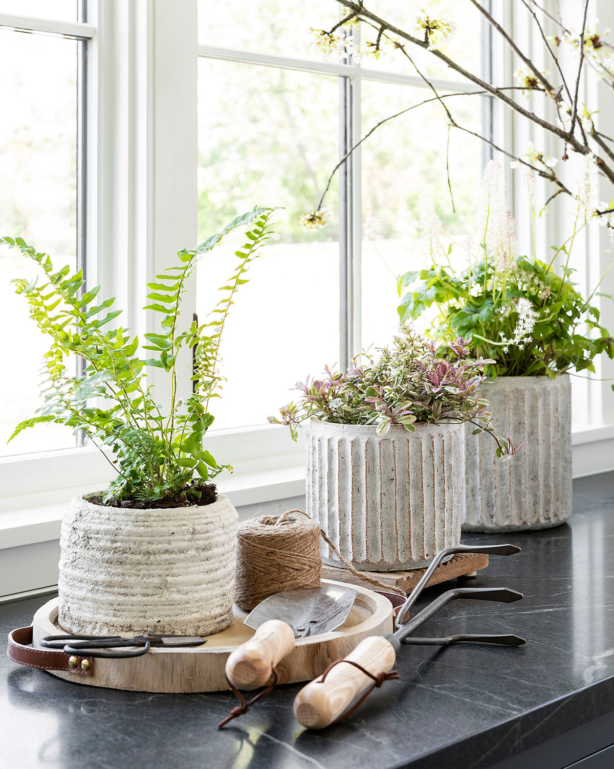 Whitewashed Ridge Pot in small size, shown on a kitchen shelf with greenery, highlighting matte glaze, from McGee & Co.