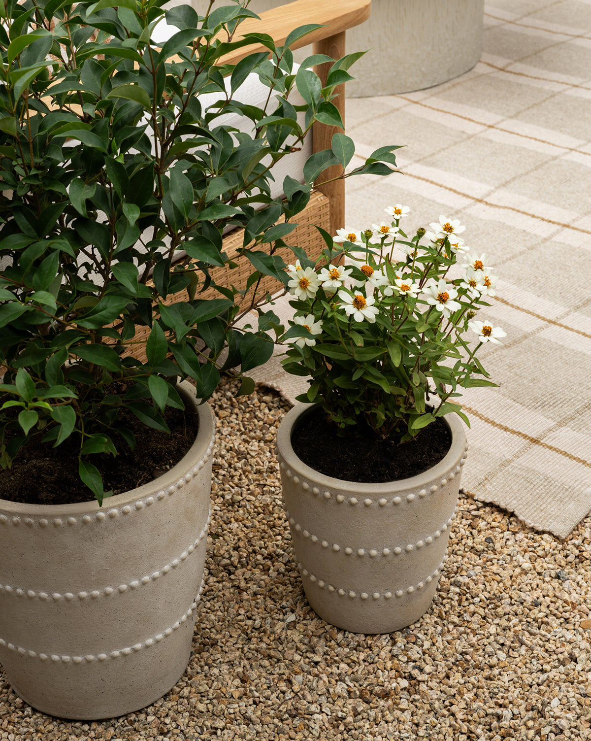 Small and large distressed white terracotta planters styled in the backyard from McGee & Co.