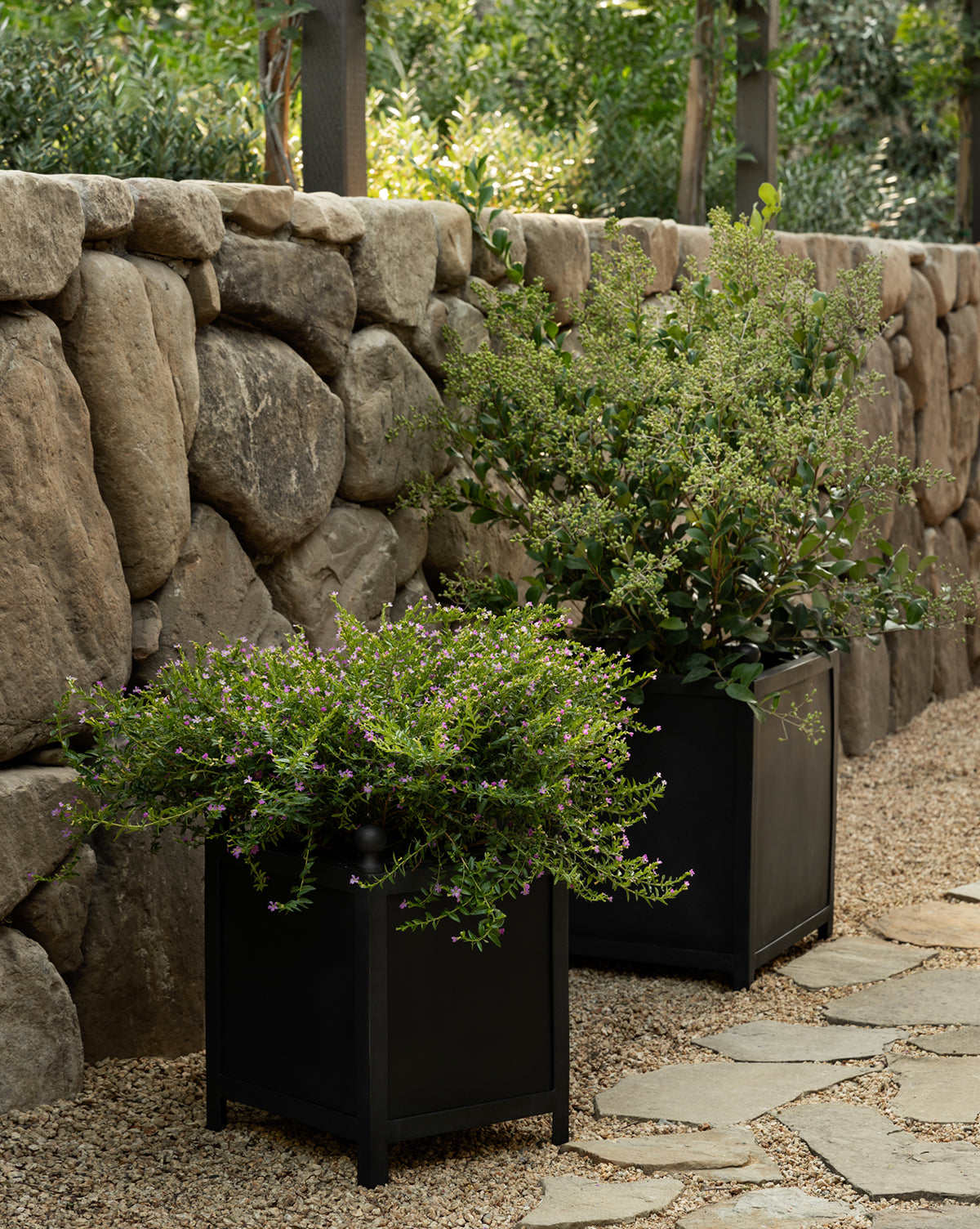 Two Clariance Planter square metal planters with leafy green shrubs sit on a gravel path beside a stone wall, with stone pavers and trees in the background, creating a stylish outdoor setting.