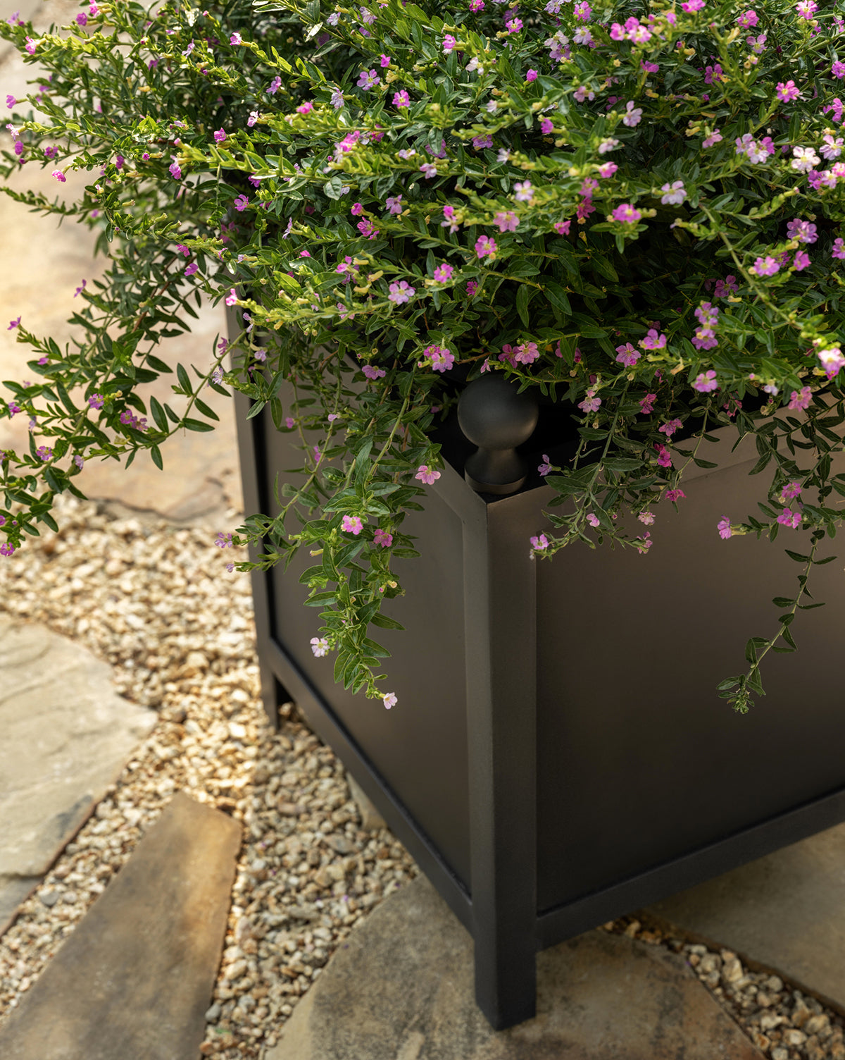 The Clariance Planter, filled with vibrant green foliage and small purple flowers, enhances your gravel and stone patio with a touch of modern outdoor style.