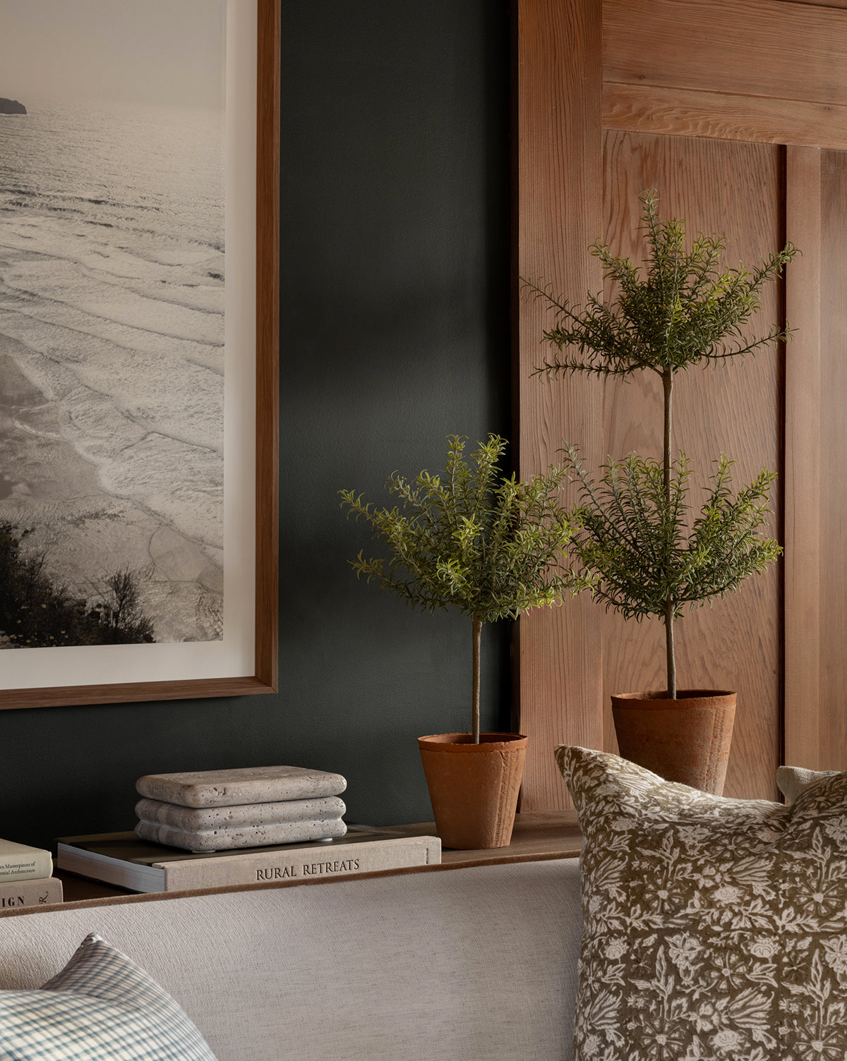 Two small potted trees sit on a ledge beside a stack of books, the Ives Stone Box, and folded fabric. A black-and-white seascape photo in a wooden frame hangs on a dark wall, with a patterned cushion in the foreground.
