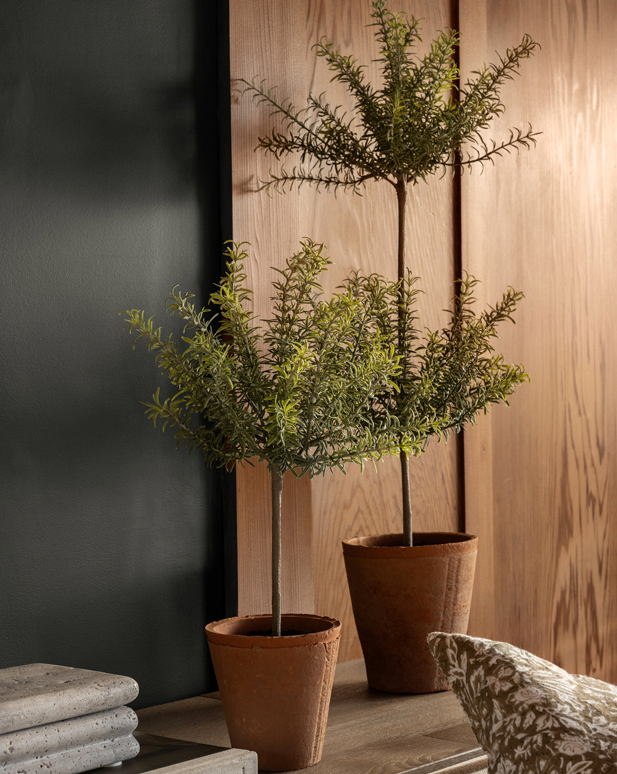 Two Potted Faux Rosemary Topiary plants with slender trunks and rounded, leafy foliage sit on a wooden surface against paneled wood and dark painted walls, with part of a textured cushion visible in the corner.
