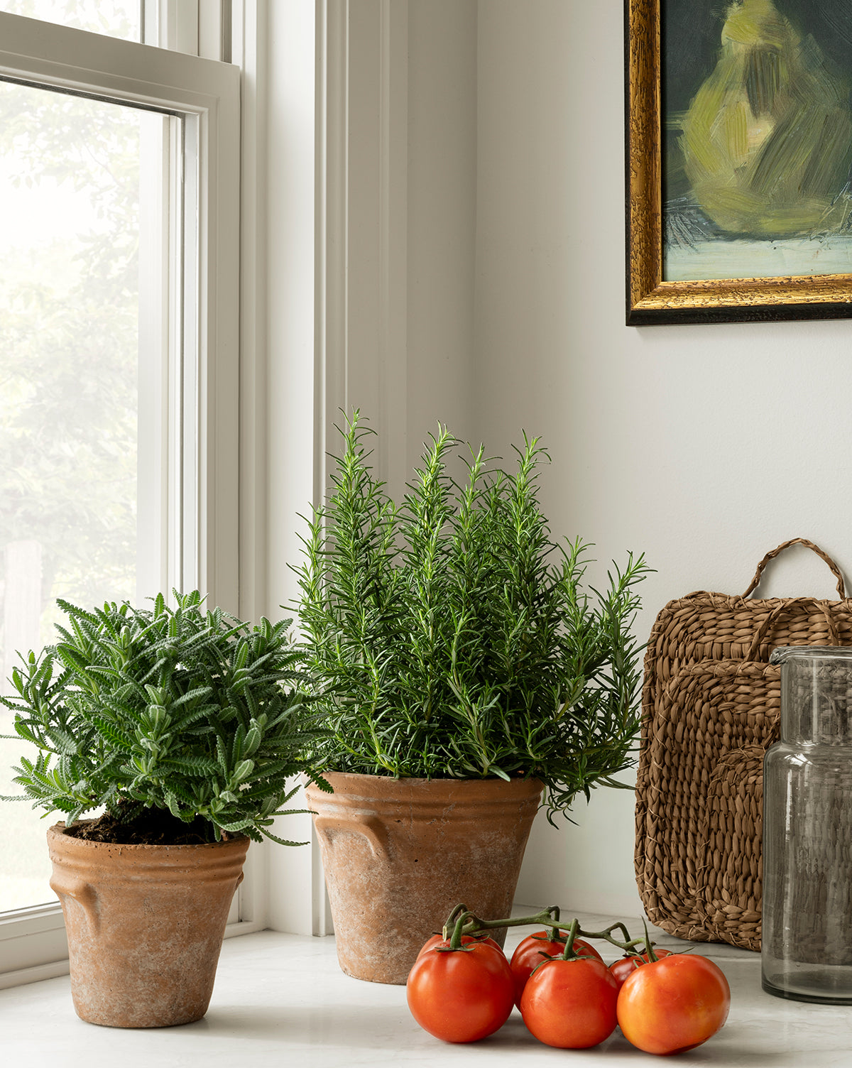 Two HomArt Cordelia Planter pots with herb plants sit on a white windowsill next to three ripe tomatoes. In the background, there’s a woven basket, a clear glass jar, and framed timeless artwork. McGee & Co.