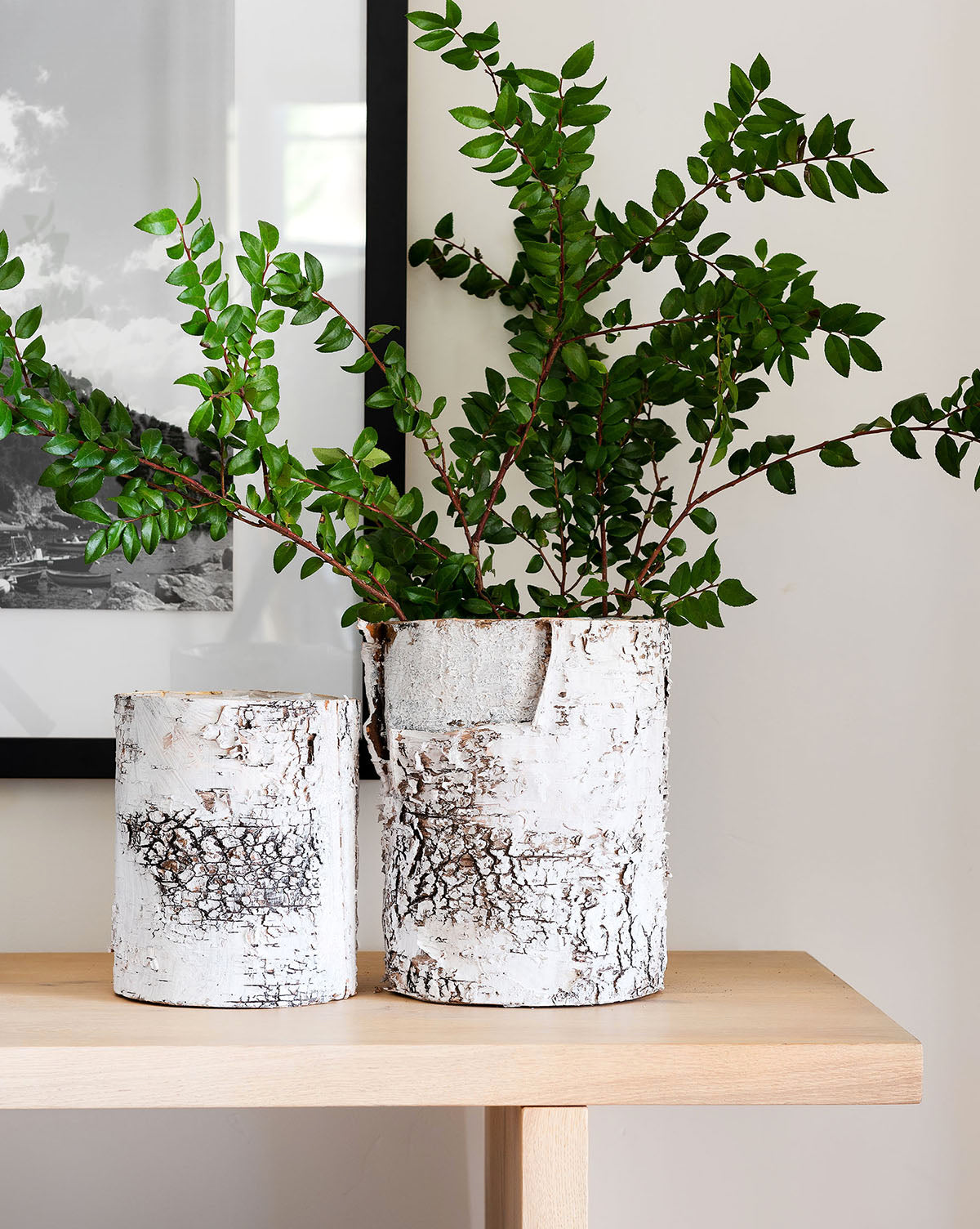 Birch Cylinder w/ Liner