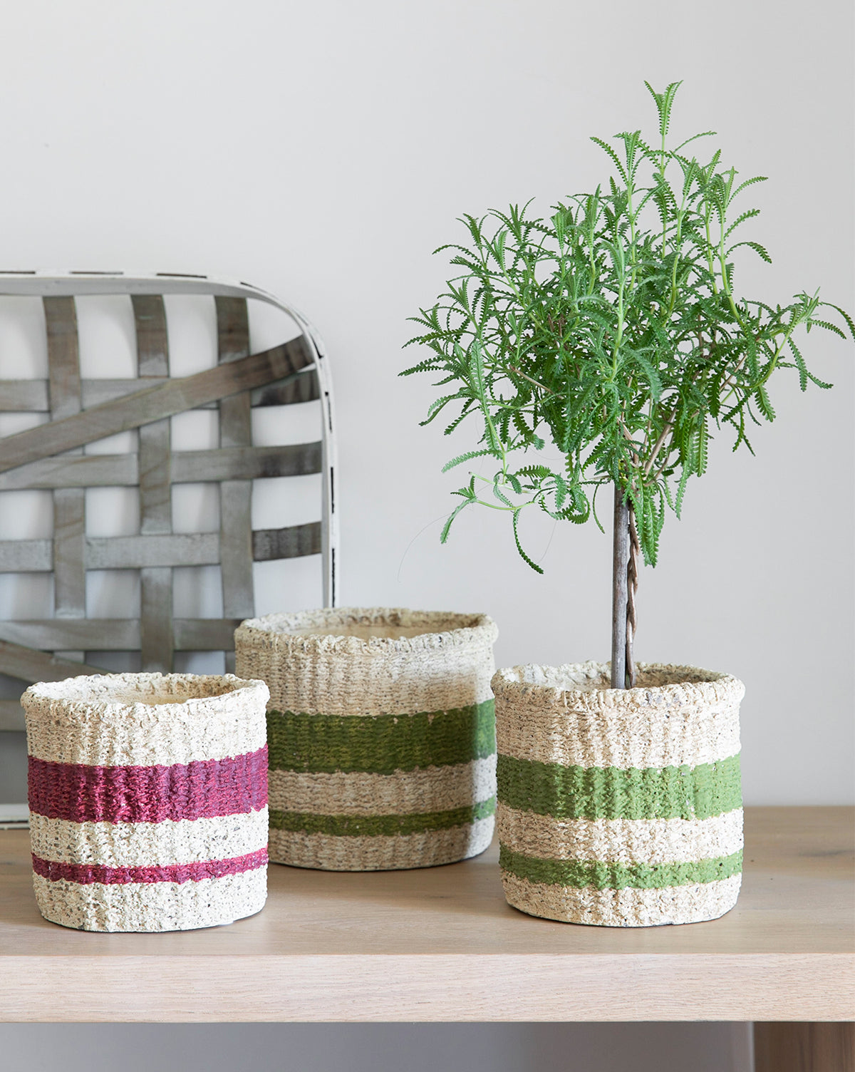 Woven Cement Planter