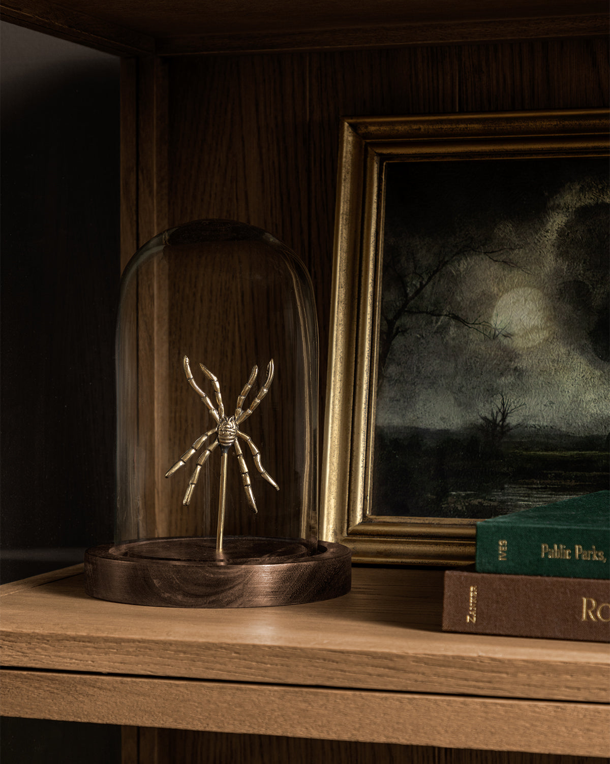 Spider Study