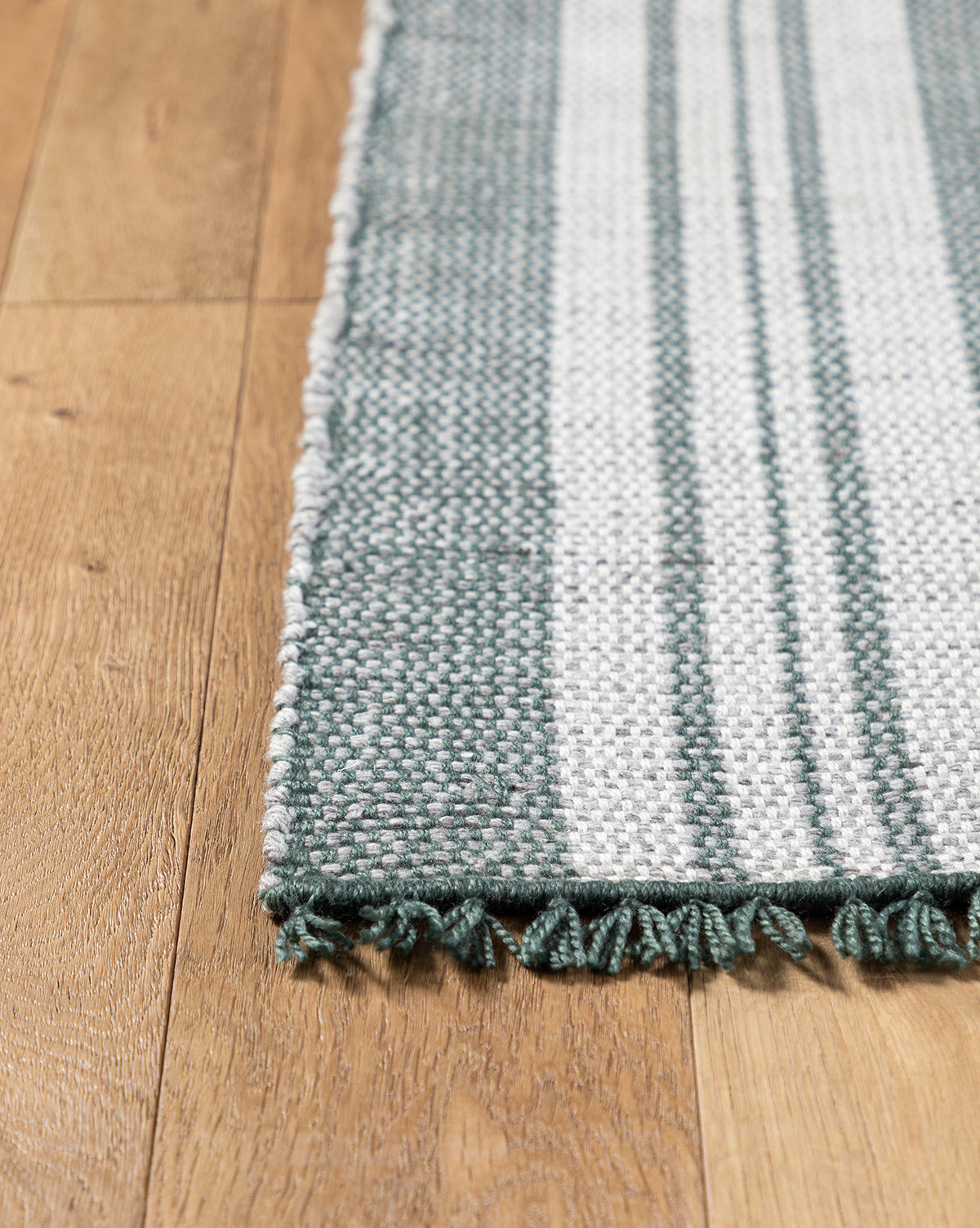 Ahern Indoor/Outdoor Rug