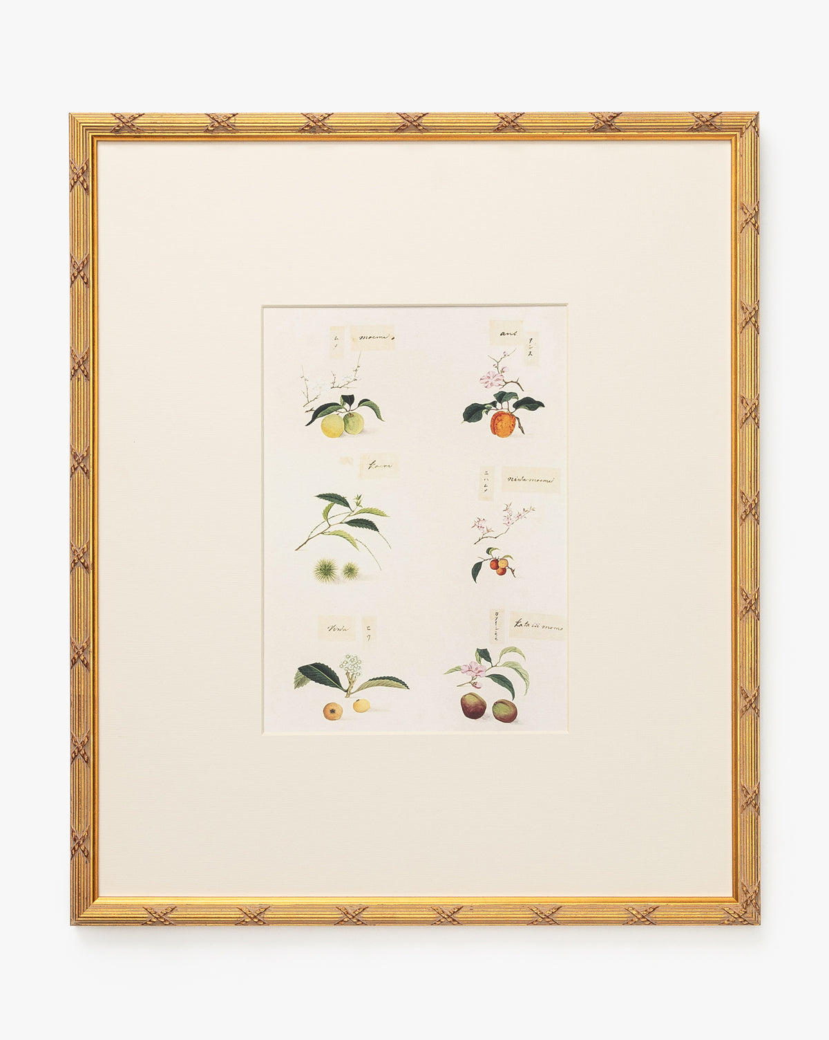 Botanical Grid 1 features vintage fruit illustrations labeled with handwritten text on a cream background, showcased as a matted giclee print in a gold wood frame, by McGee & Co.