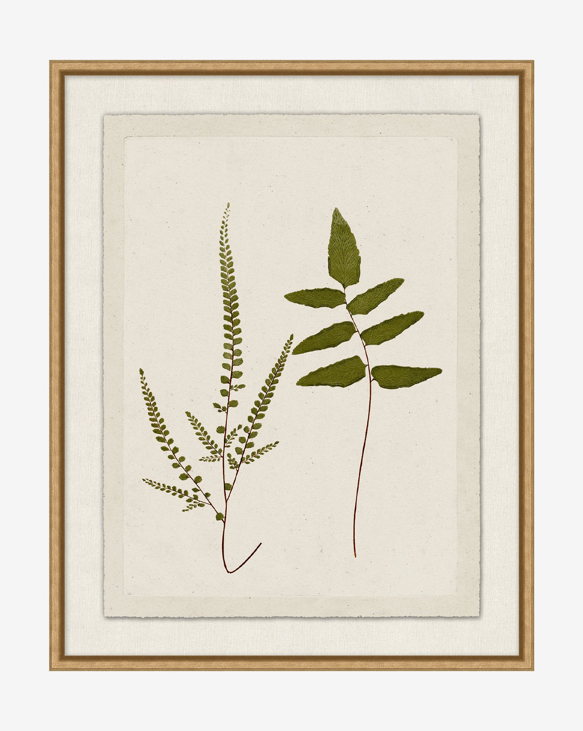 Botanical Pressings I: A framed giclee print with two green botanical leaves—one fern-like and one broader—on a cream, textured paper-like background in a gold-finished frame, by McGee & Co.