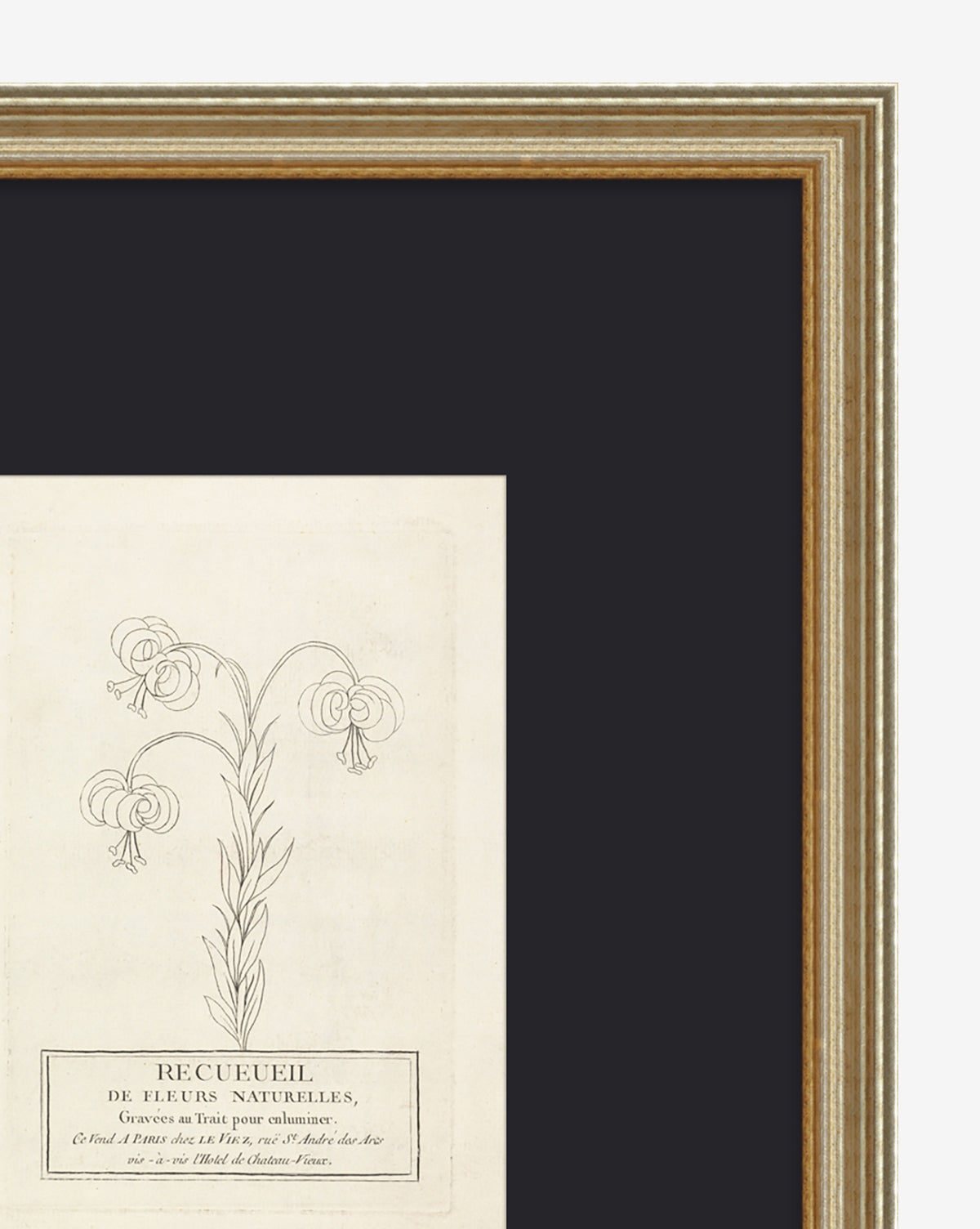 French flowers  in a box below, set against a dark background in gold frame, by McGee & Co.