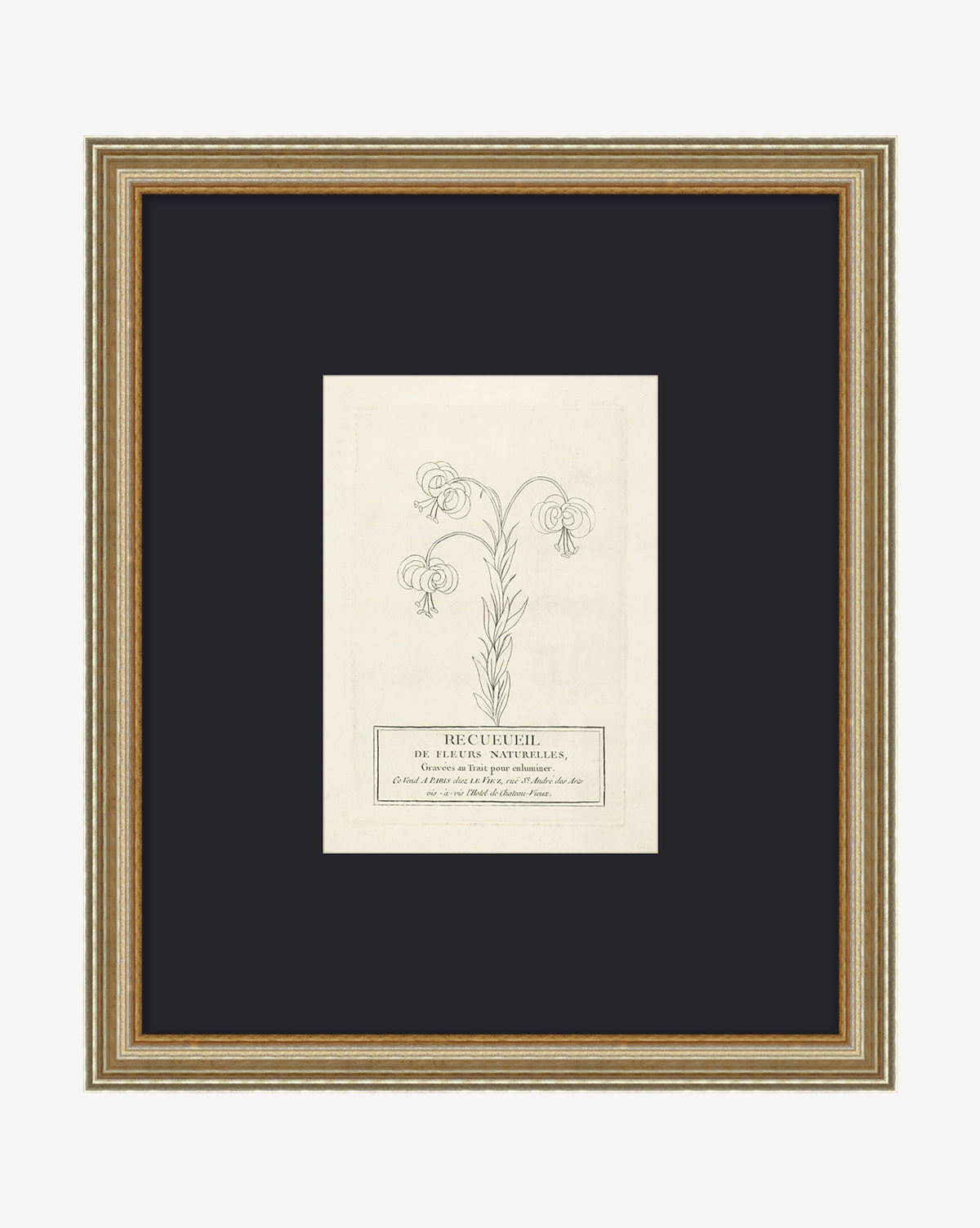The Collection Of French Flowers is a framed botanical print with a black-and-white flowering plant illustration, French text in a box below, set against a dark background and finished with a gold frame, by McGee & Co.