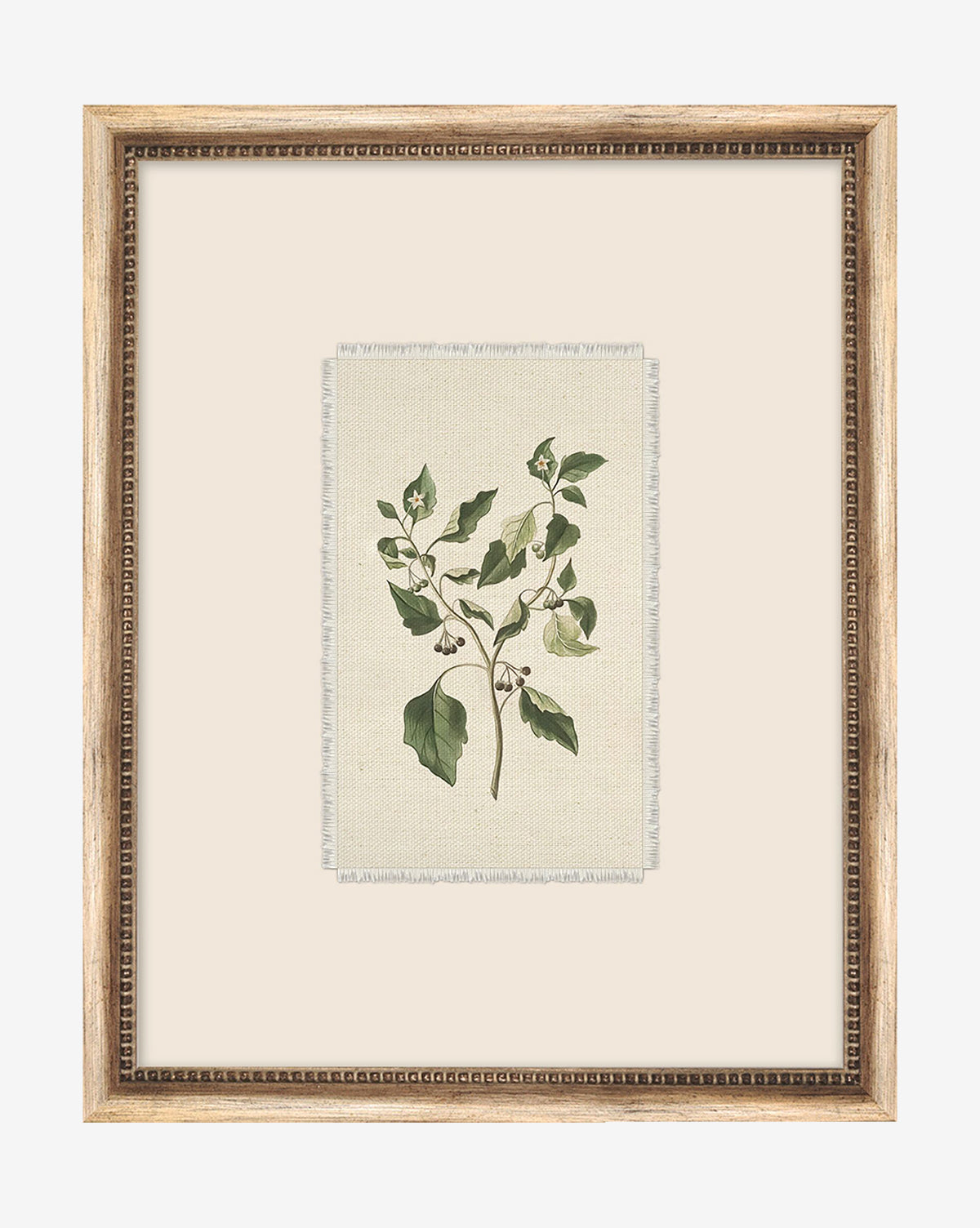 Delicate Floral lll features a botanical illustration of a green leafy branch on a beige background, elegantly presented in a silver wood frame with a beaded inner border, perfect for showcasing delicate floral art.