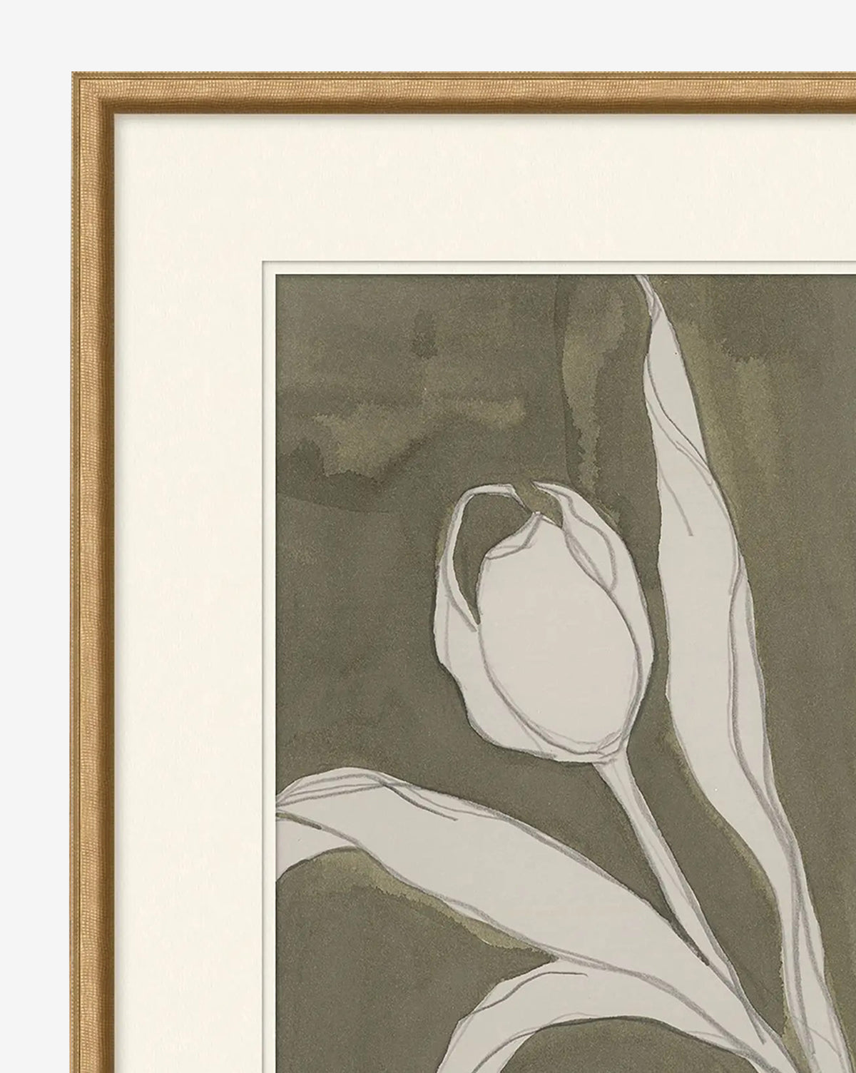 Delicate Tulip I by Rebekah Webb is a framed artwork showcasing a simple, sketch-style white tulip with leaves on a dark, muted background; only the top left of the gold frame and art are visible, by McGee & Co.