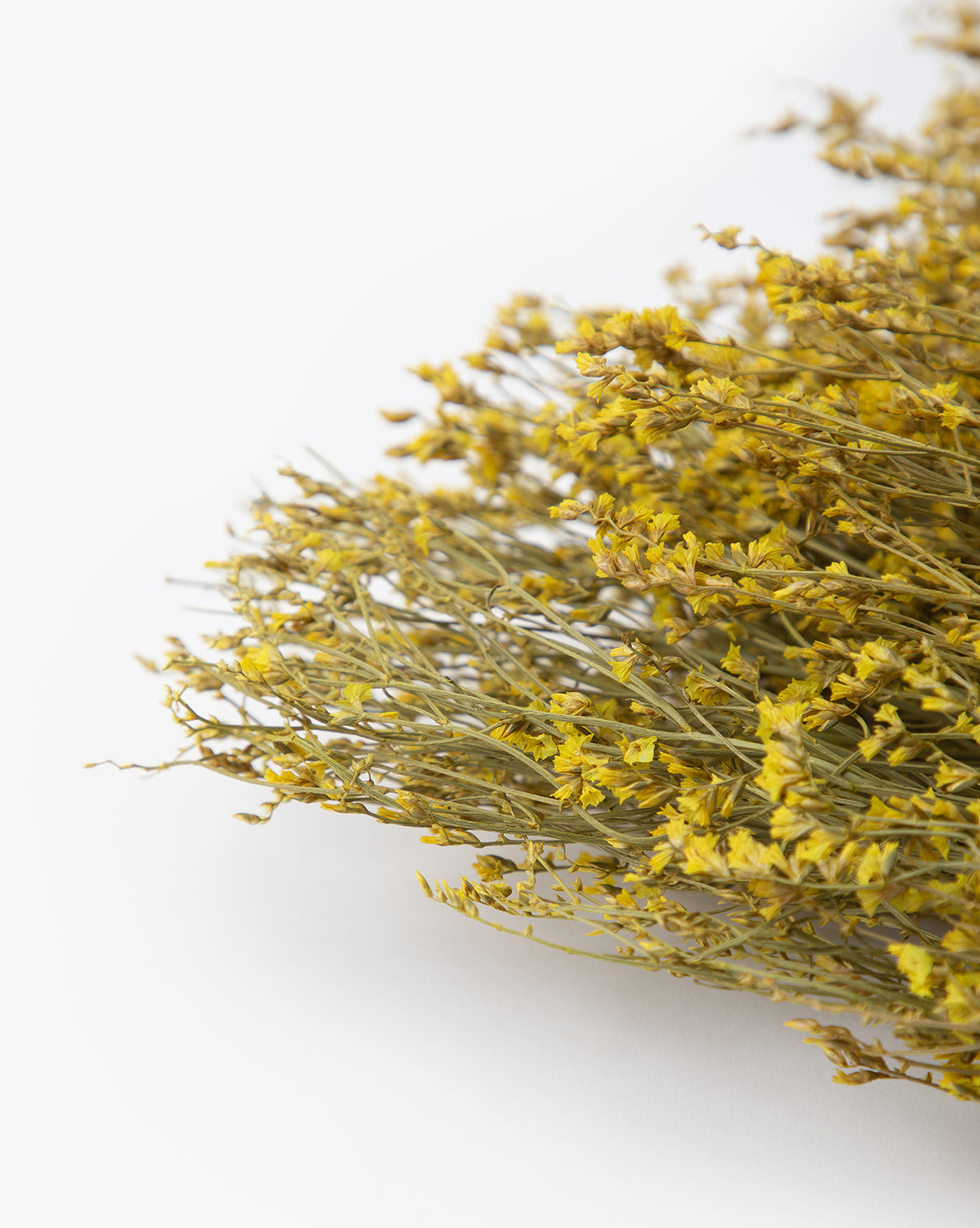 Dried Natural Pearl Grass Bunch