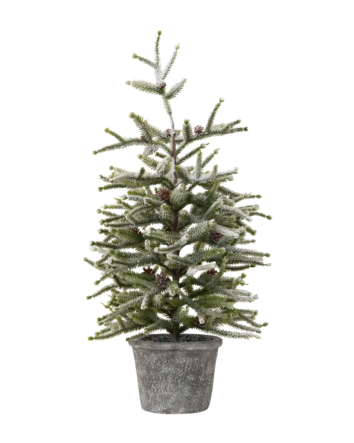Dusted Pinecone Tree