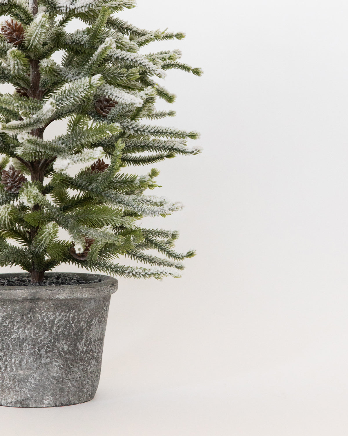 Dusted Pinecone Tree