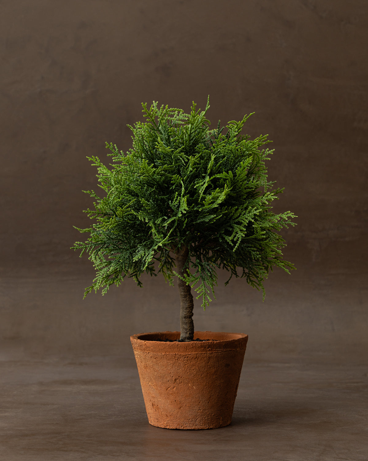 Faux Cypress Potted Topiary