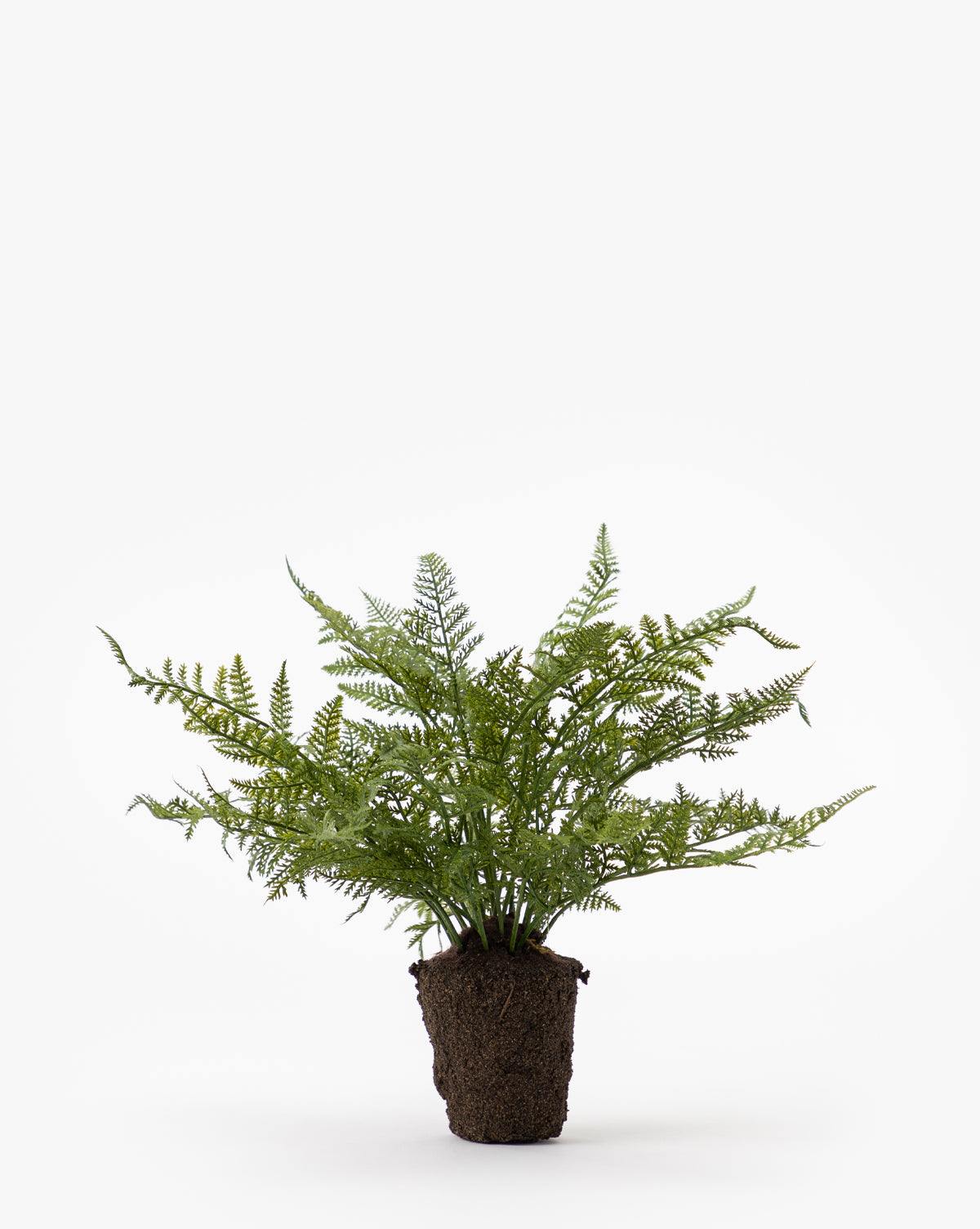 Faux Fern Drop-In