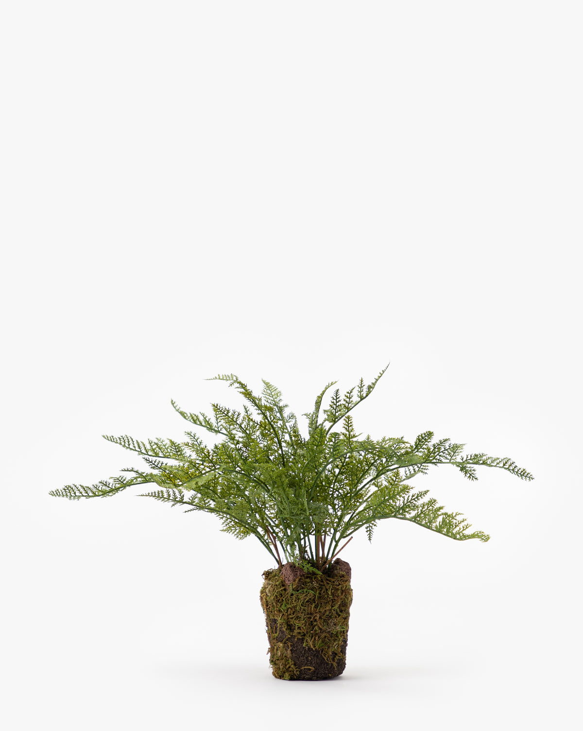 Faux Fern Drop-In
