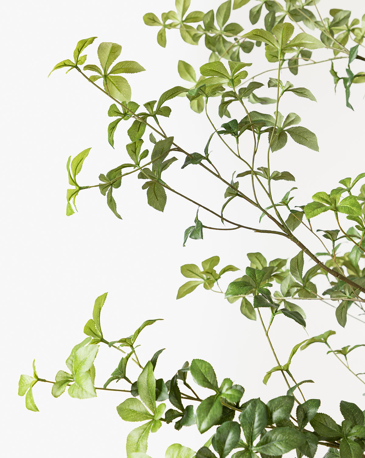 Faux Japanese Quince Tree