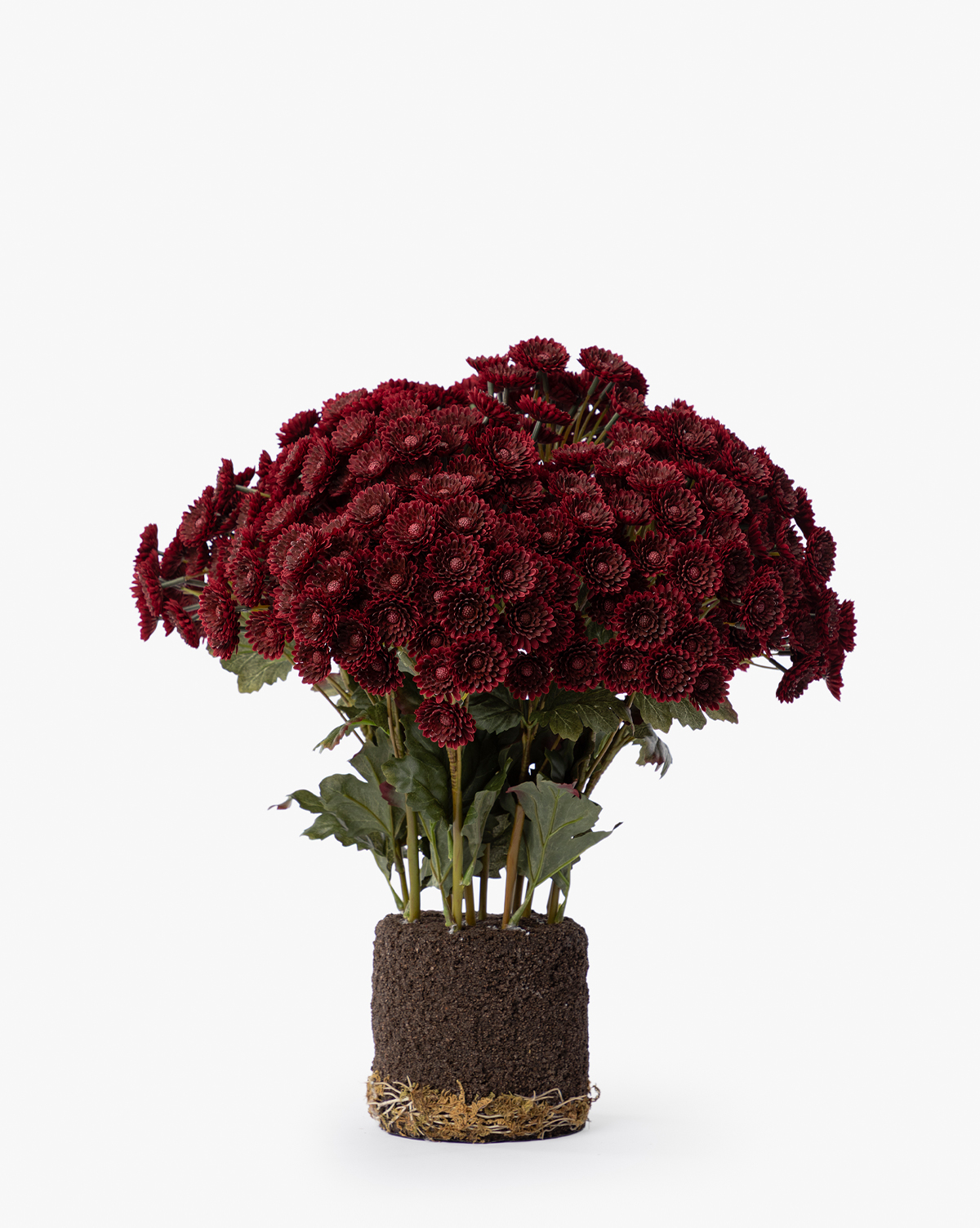 The Faux Mum Drop-In features lifelike deep red mum chrysanthemums with green leaves, upright blooms, and visible roots in soil, all displayed against a plain white background, by McGee & Co.