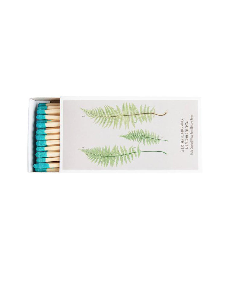 Fern Matchbox