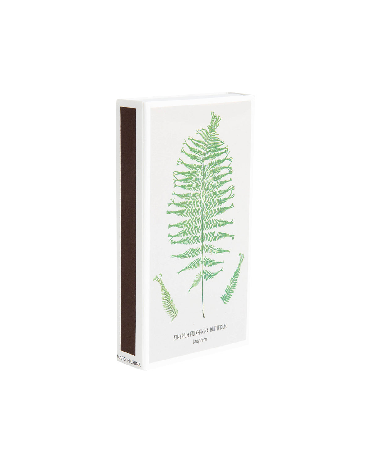 Fern Matchbox