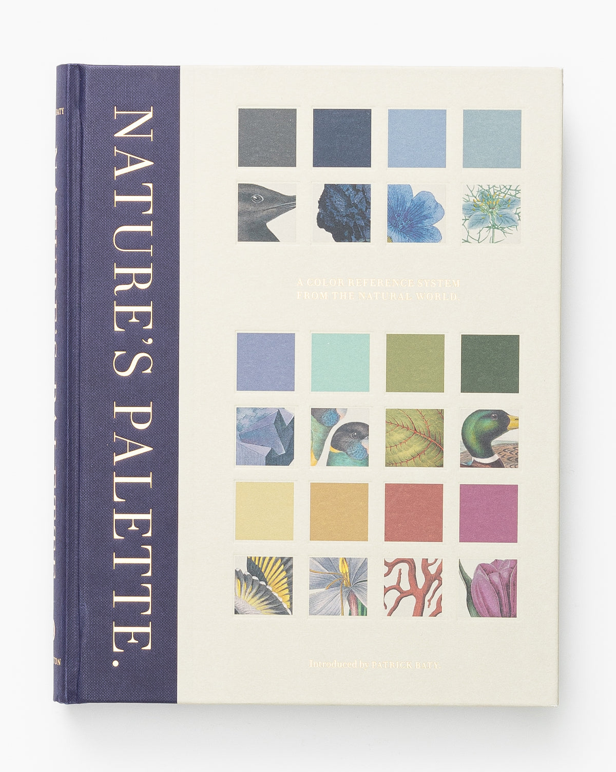 Nature's Palette