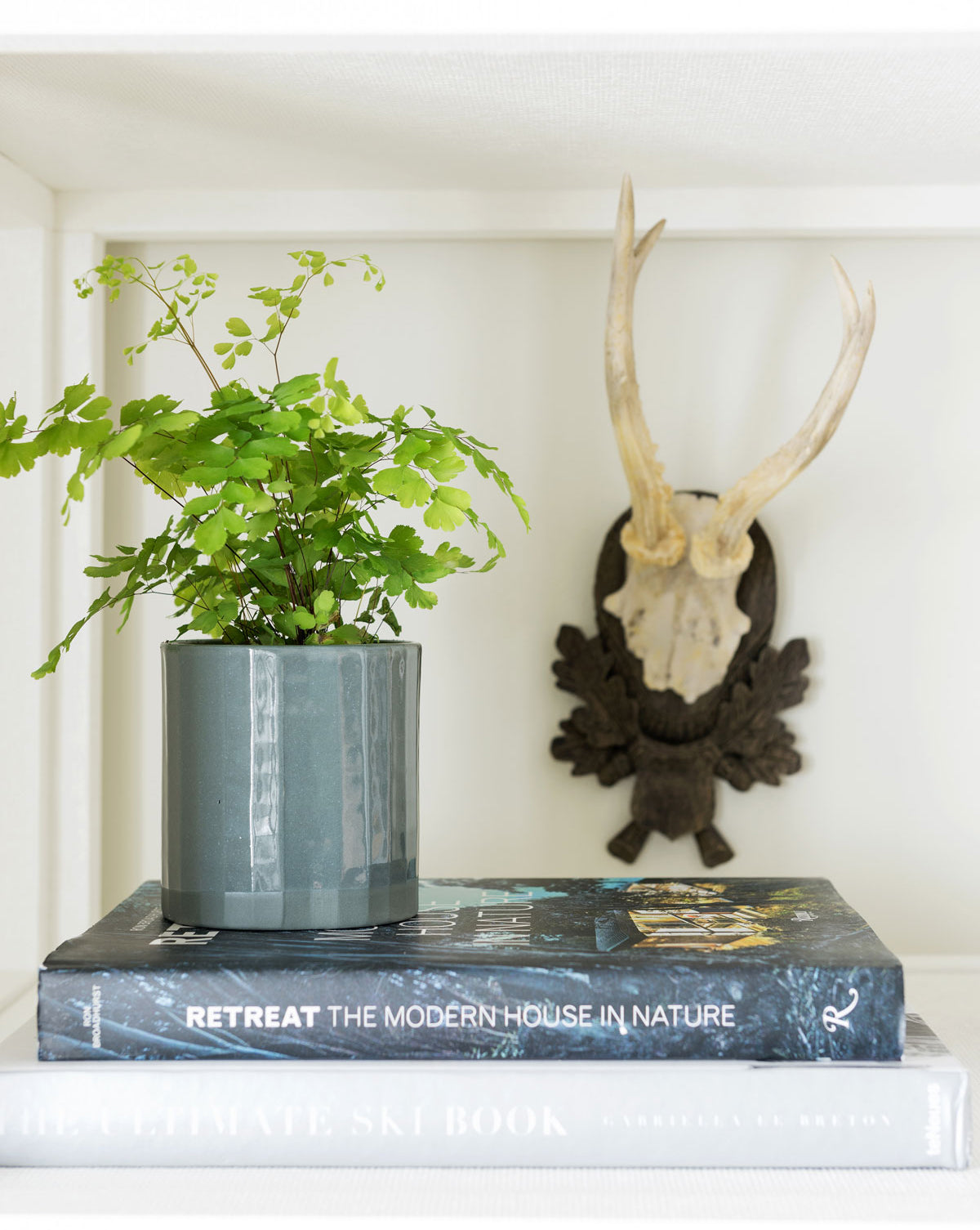 Oma Pot