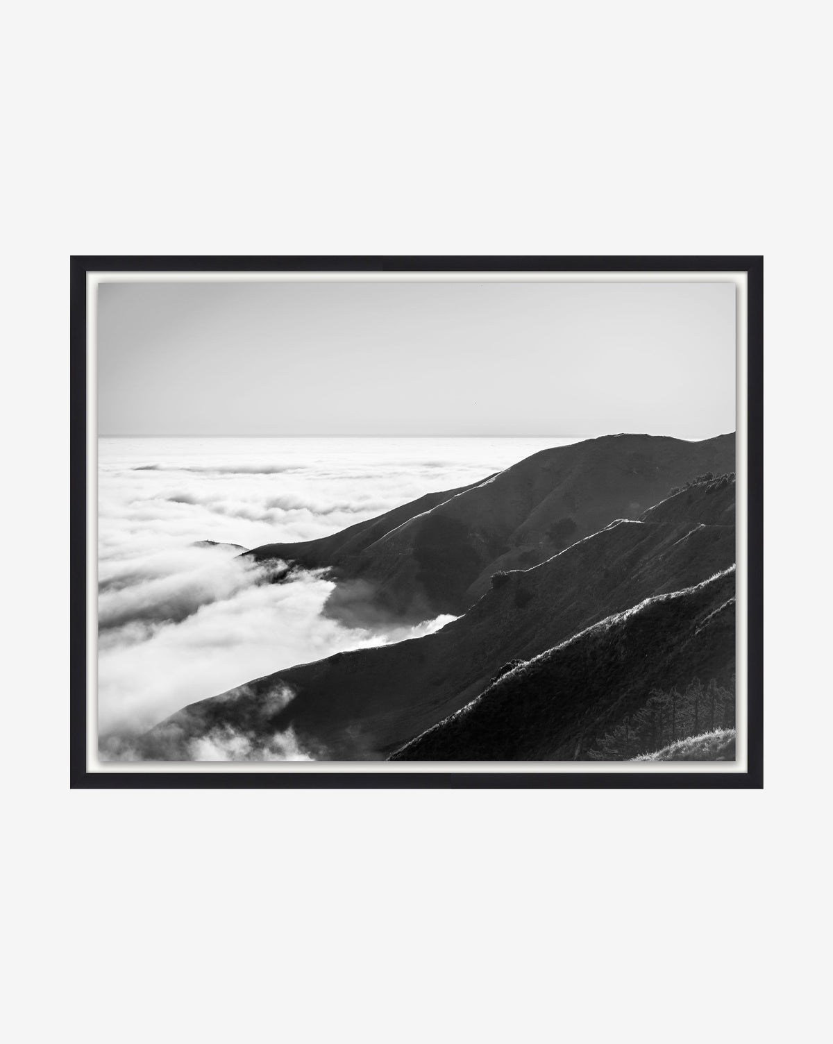 Pacific Foggy Cliffs