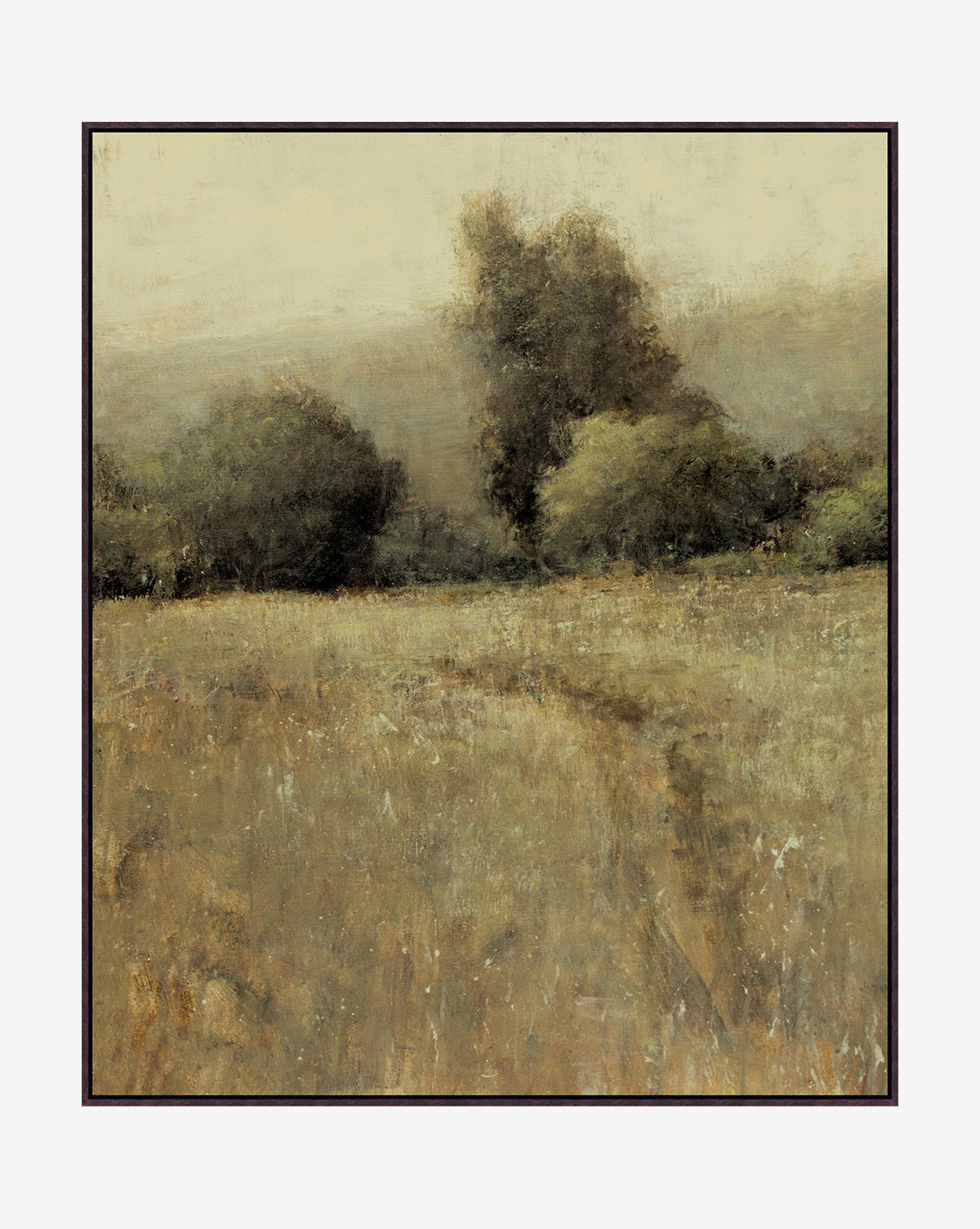 Path in the Brush