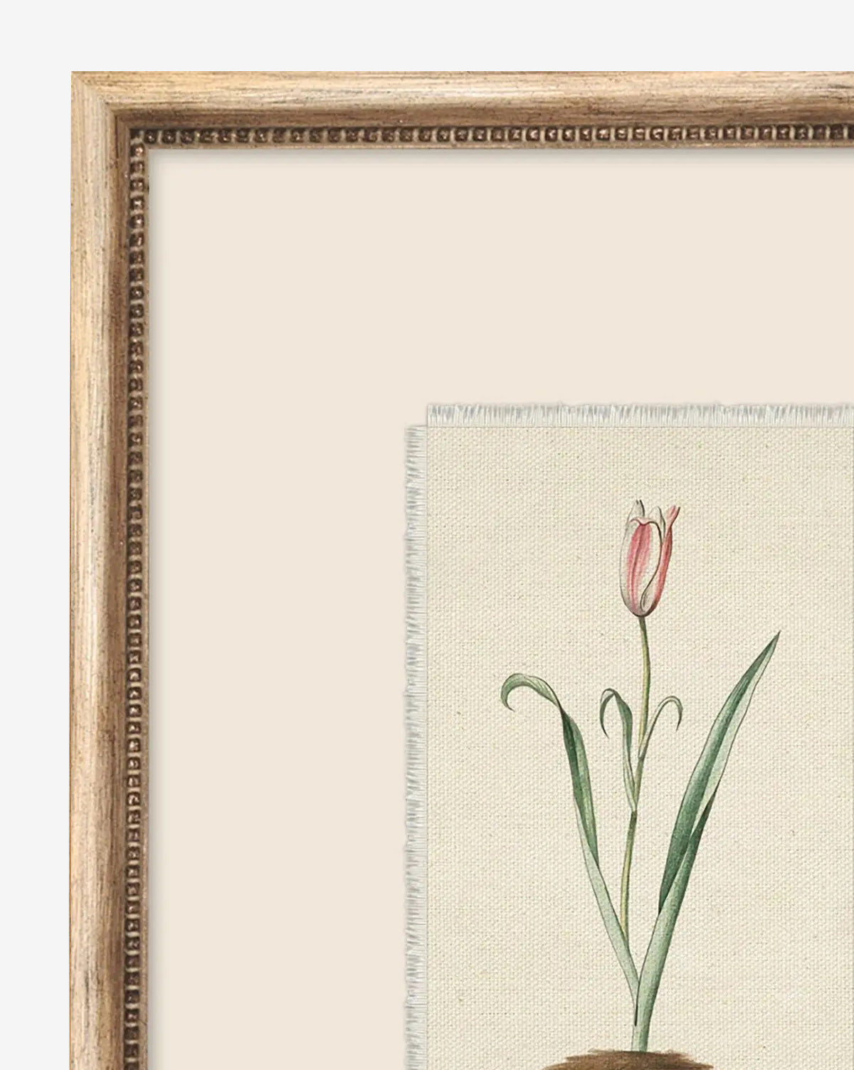 Petite Floral I is a framed giclee print featuring a simple botanical illustration of a pink tulip with green leaves on a neutral background in a vintage-inspired wood frame, adding timeless charm to any space, by McGee & Co.