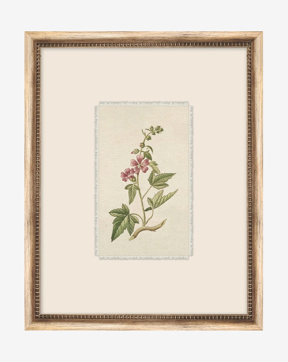 Petite Floral III is a framed botanical illustration showcasing a flowering plant with pink blossoms and green leaves on a light beige background—a charming, vintage-inspired wall art piece for any space, by McGee & Co.