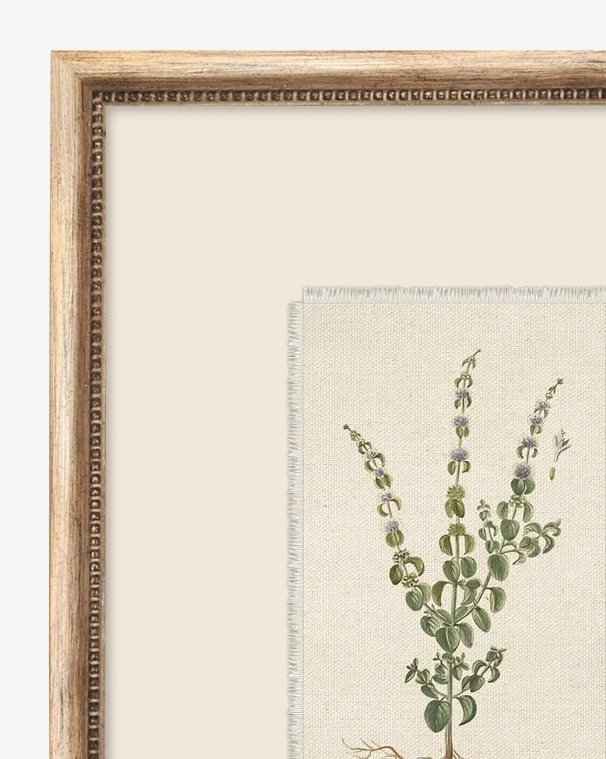 Petite Floral VI features a botanical illustration of a green leafy plant with small purple flowers on off-white fabric with frayed edges, set in a vintage-inspired wood frame—ideal for stylish home décor against a beige background, by McGee & Co.