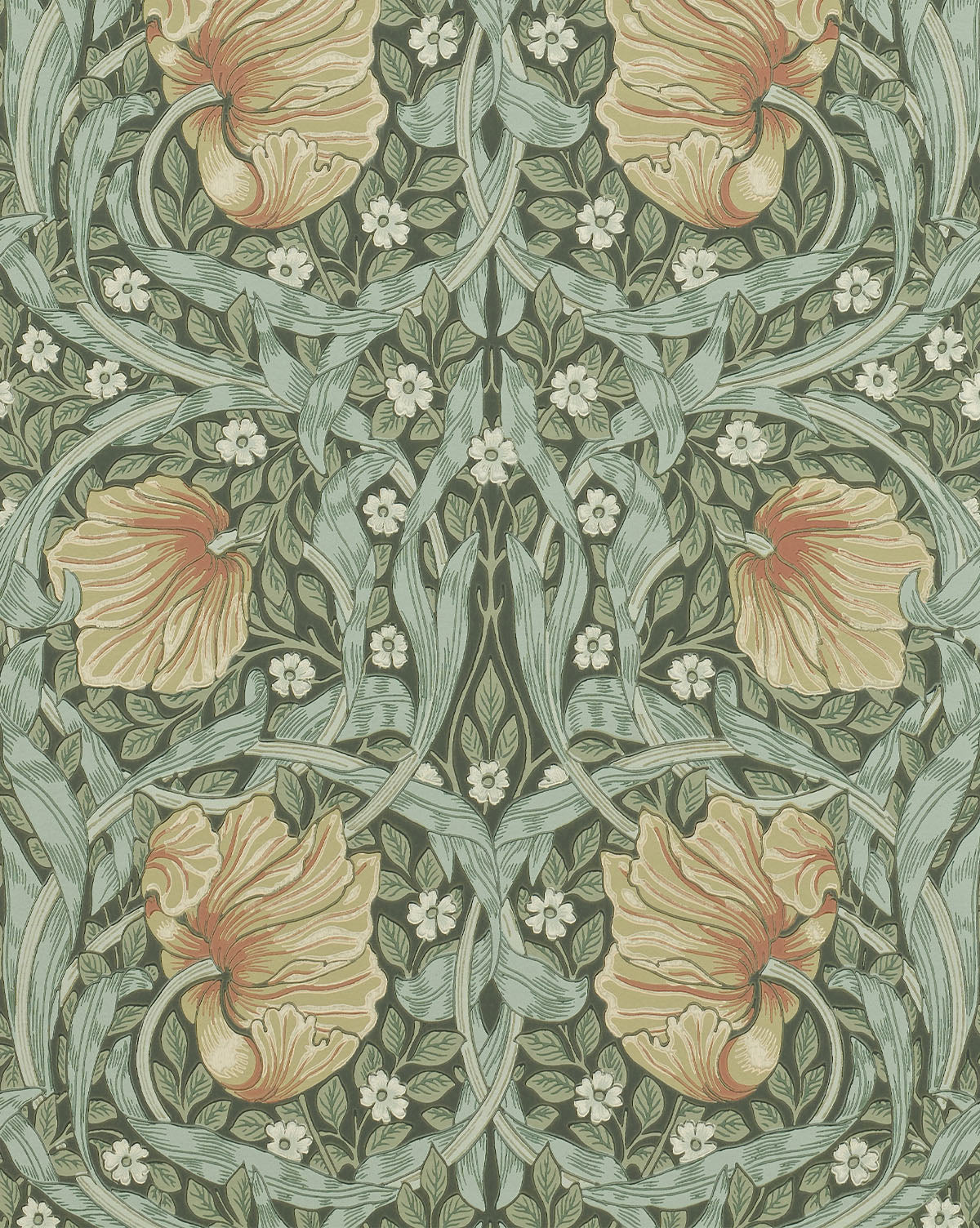 Pimpernel Wallpaper