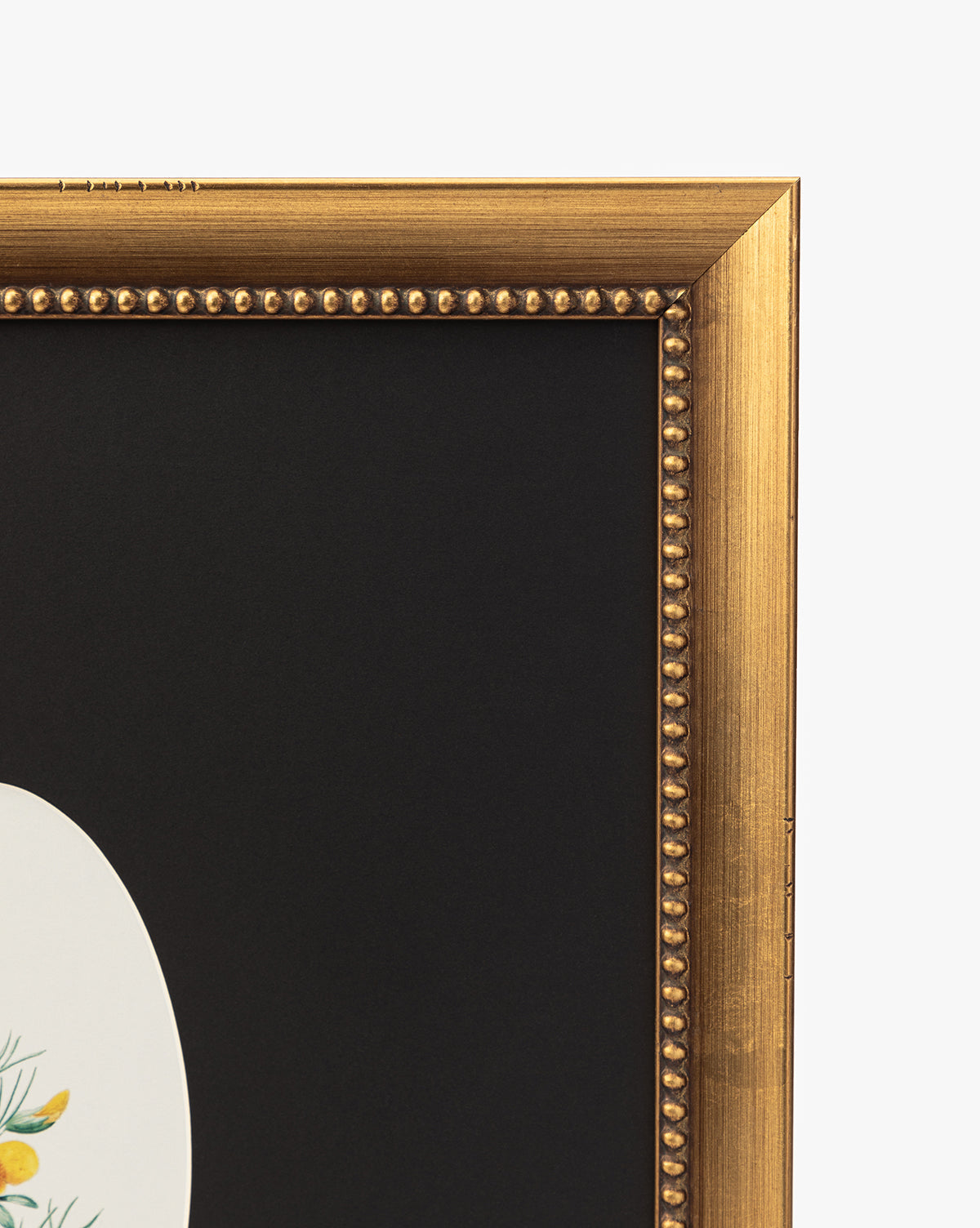Close-up of the top right corner of a gold beaded picture frame with a black mat, displaying part of Single Blooms 1—an oval-shaped botanical print in yellow and green tones on a white background for vintage-inspired wall art, by McGee & Co.