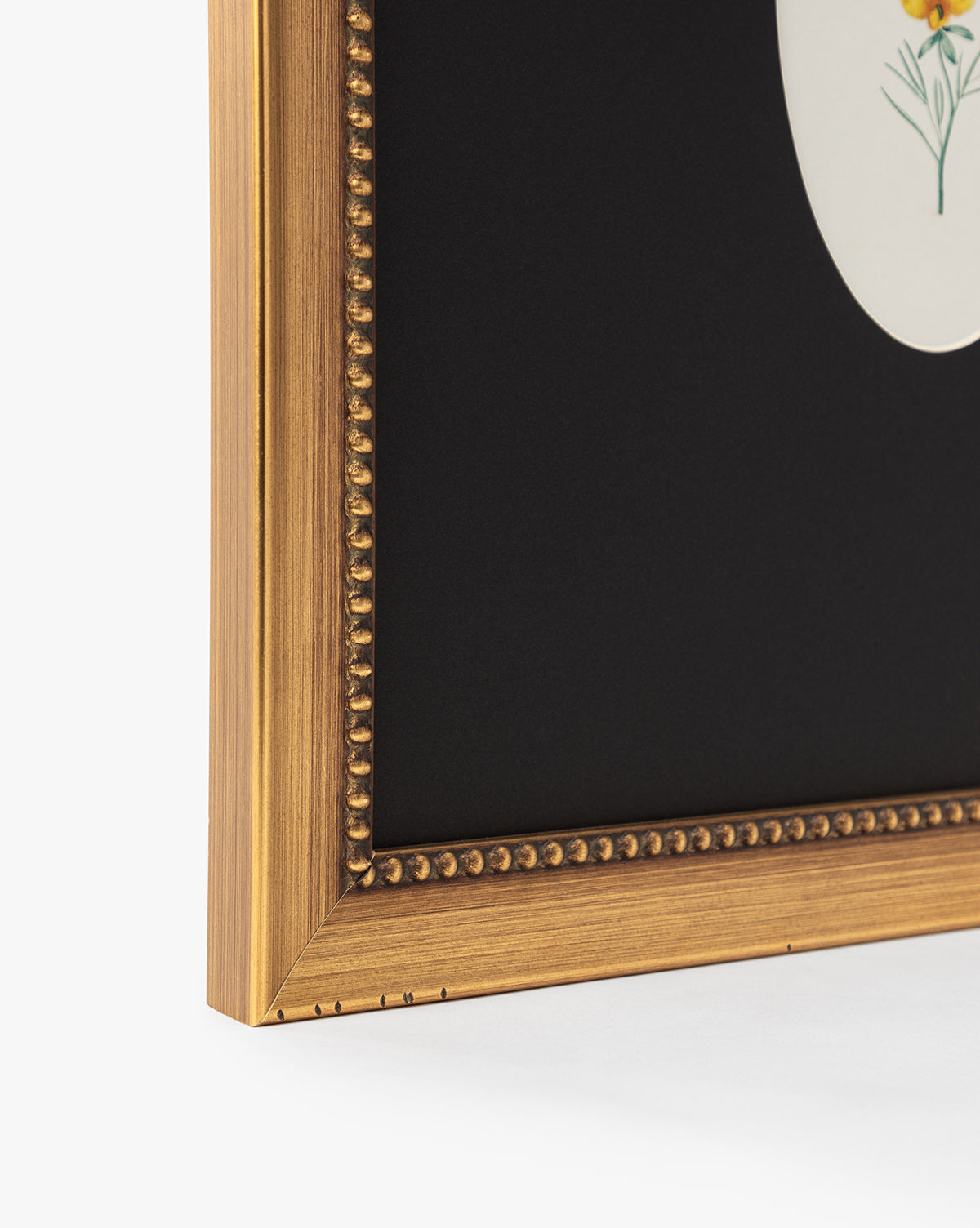 Close-up of the gold-toned, beaded Single Blooms 1 frame with black matte, featuring a yellow flower in an oval botanical print—ideal for vintage-inspired wall art displays, by McGee & Co.