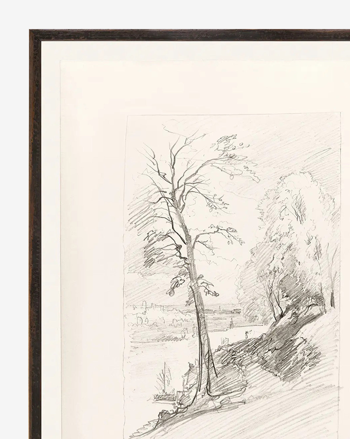 Sketched Study l