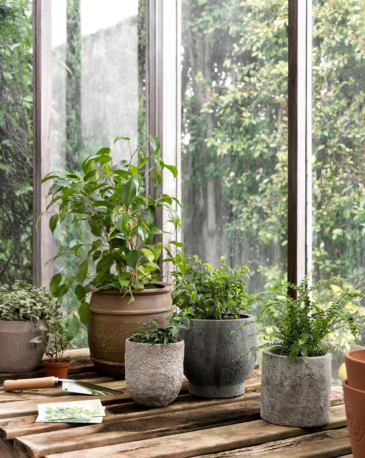 Golden Cement Pot