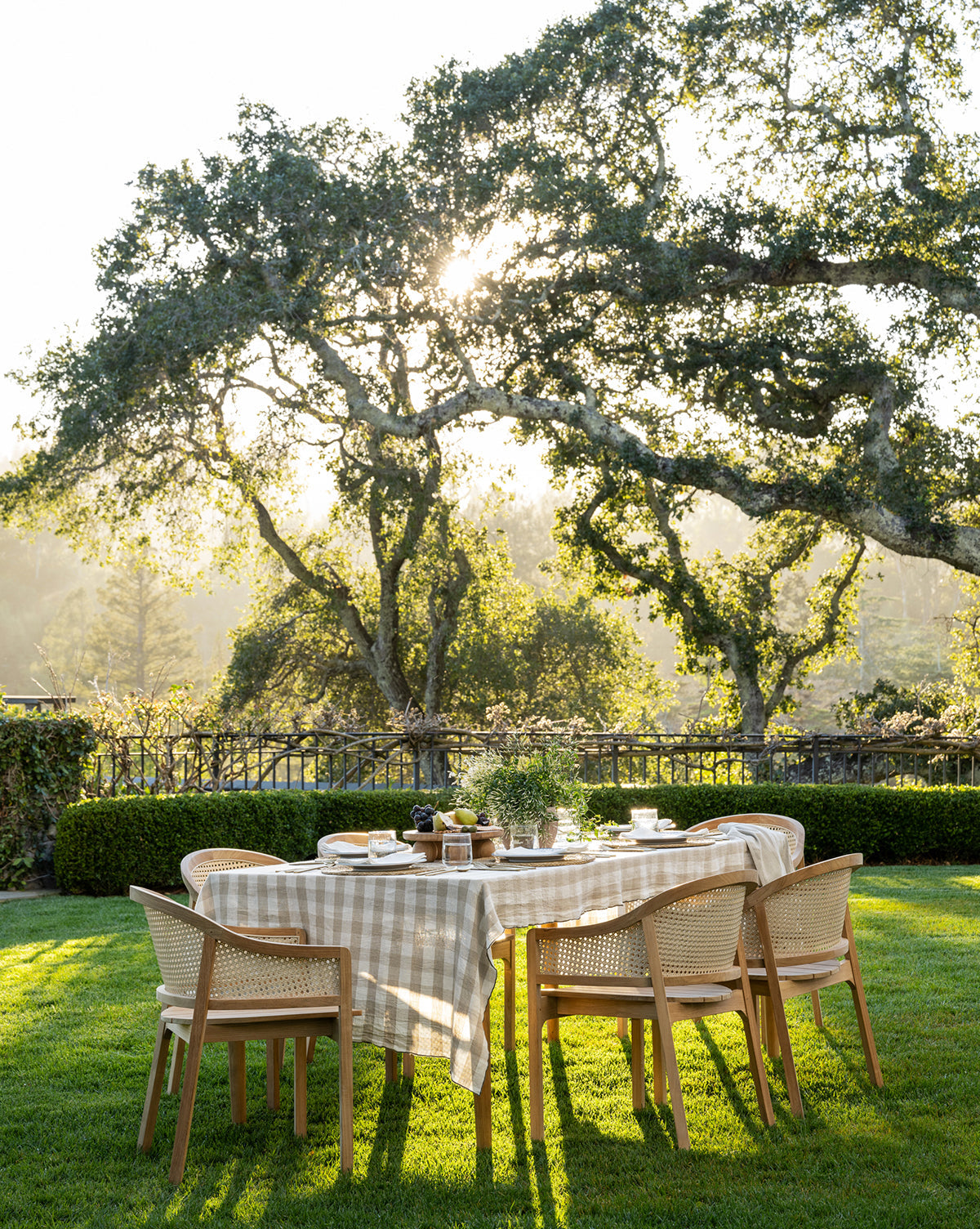 The Elowyn Outdoor Dining Table, covered with a plaid tablecloth and surrounded by six chairs, is set on a green lawn beneath sunlit trees—perfect for all-weather outdoor dining amid lush greenery, by McGee & Co.