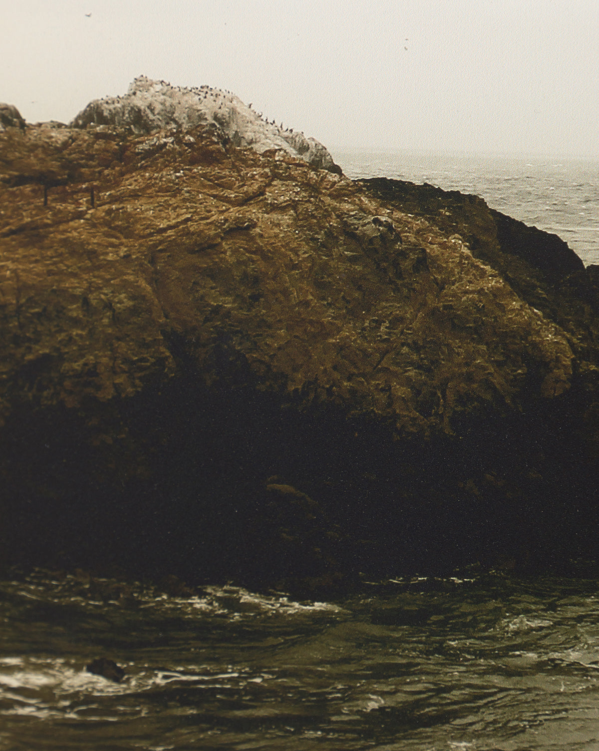 Sunday Fog is a striking giclee print capturing a rocky coastline jutting into the ocean, where birds perch atop the ridge as waves crash below against dark rocks beneath an overcast sky.