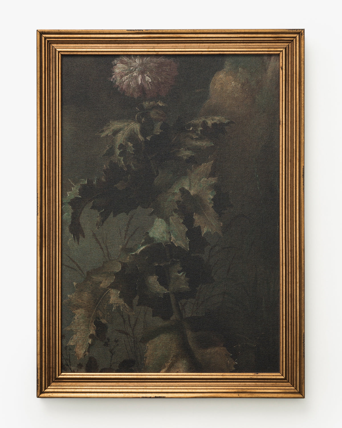 Thistle Down is a framed painting of a tall thistle with dark green leaves and a pale purple bloom, set against a shadowy background. This elegant wall art comes in an antique gold frame with ridged detailing for timeless charm, by McGee & Co.