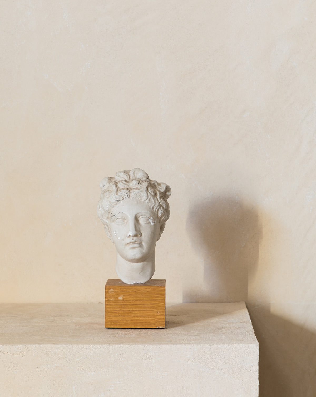 Vintage Stone Head