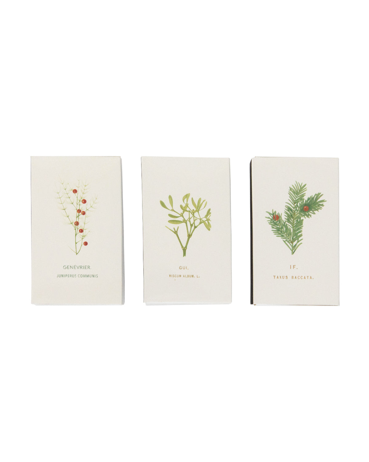 Vintage Botanical Matchbox