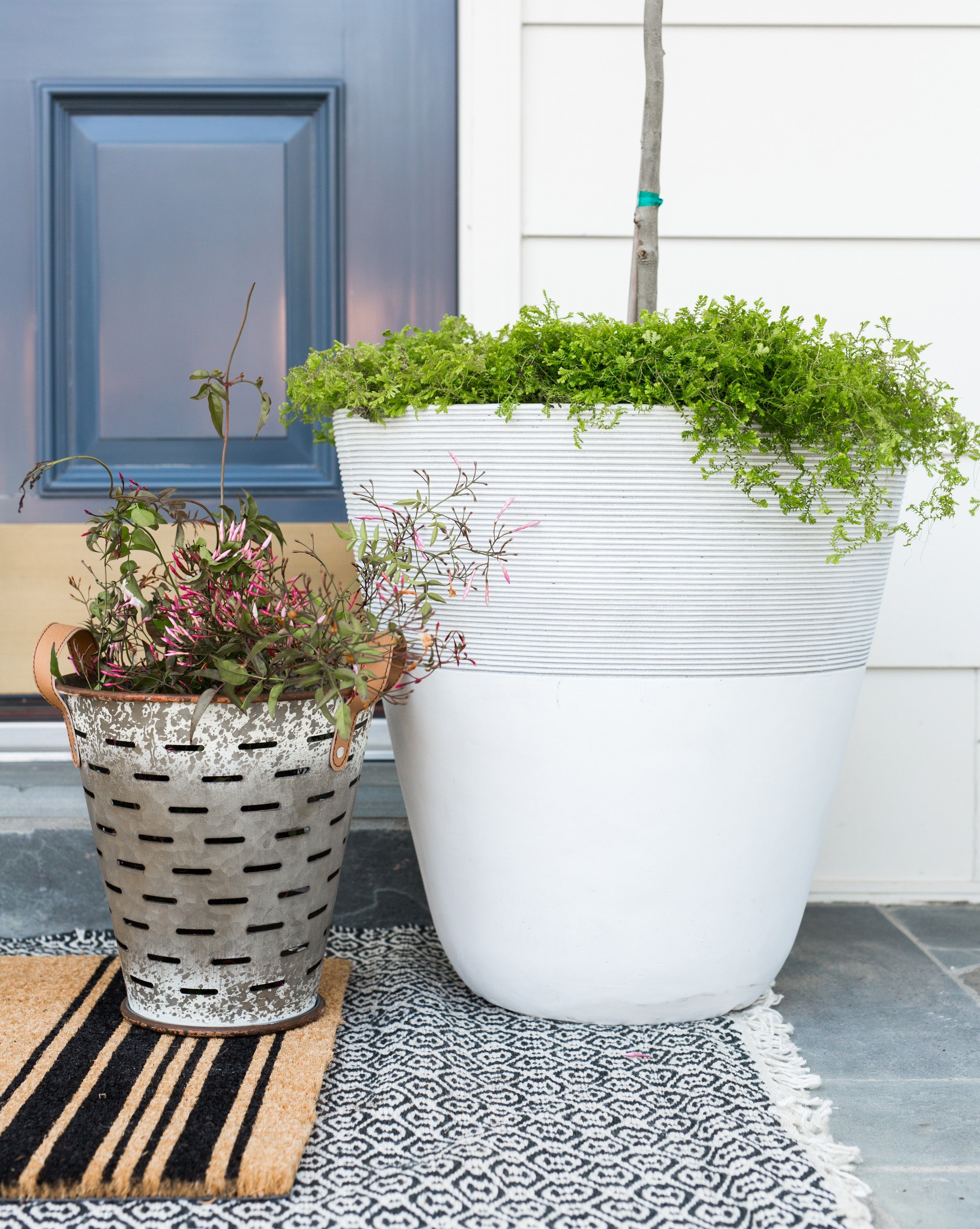 Olive Buckets