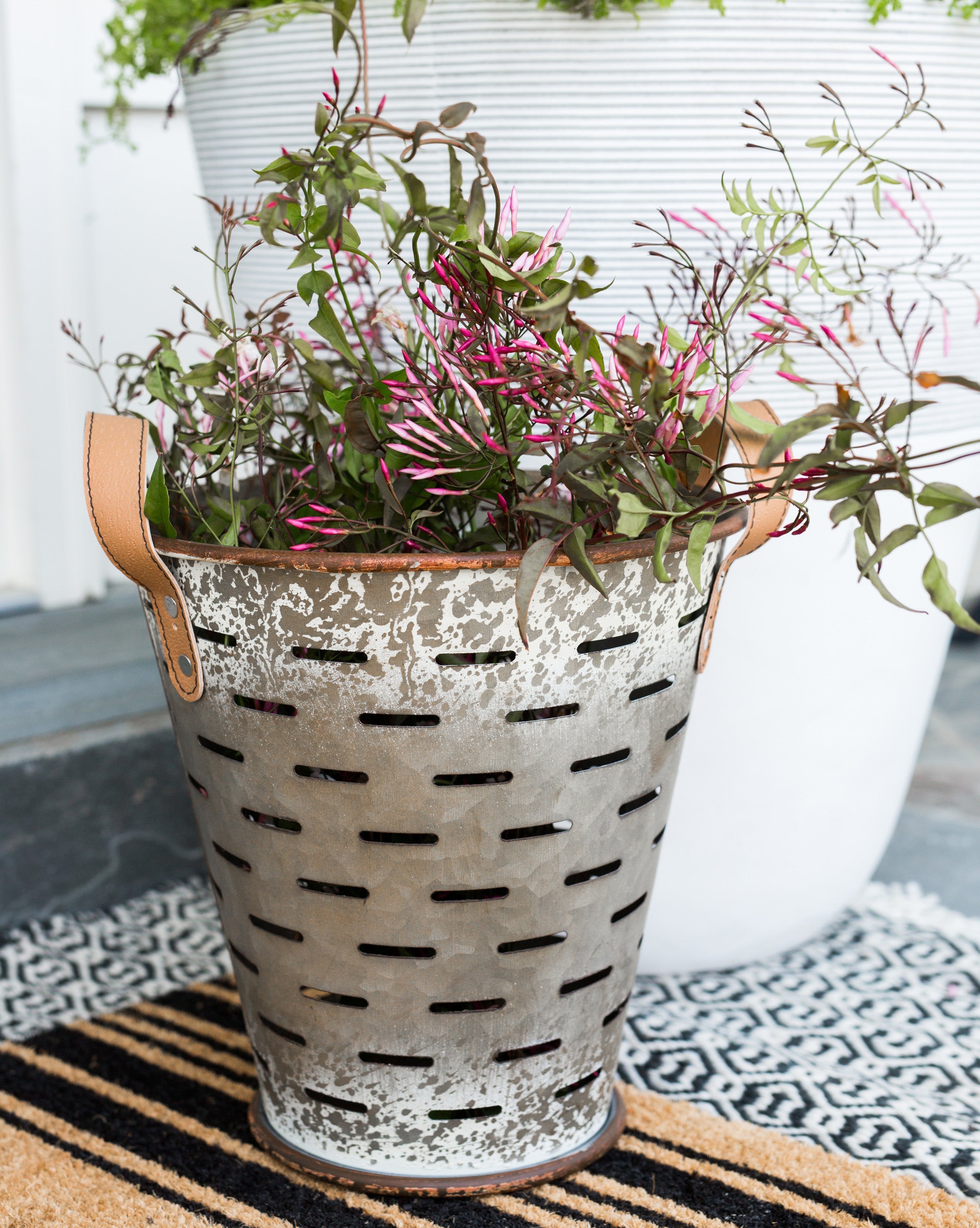 Olive Buckets