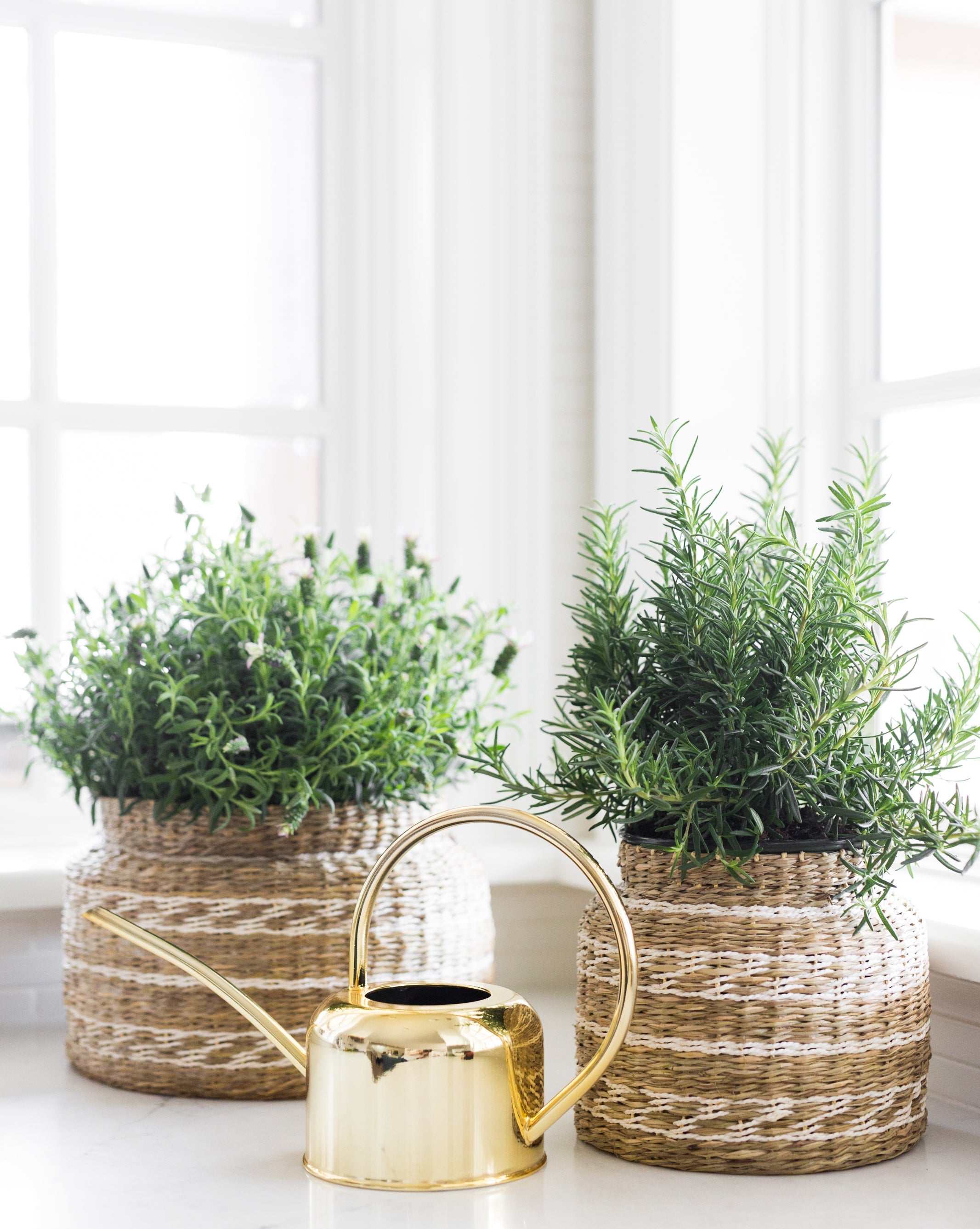 Gold Watering Can