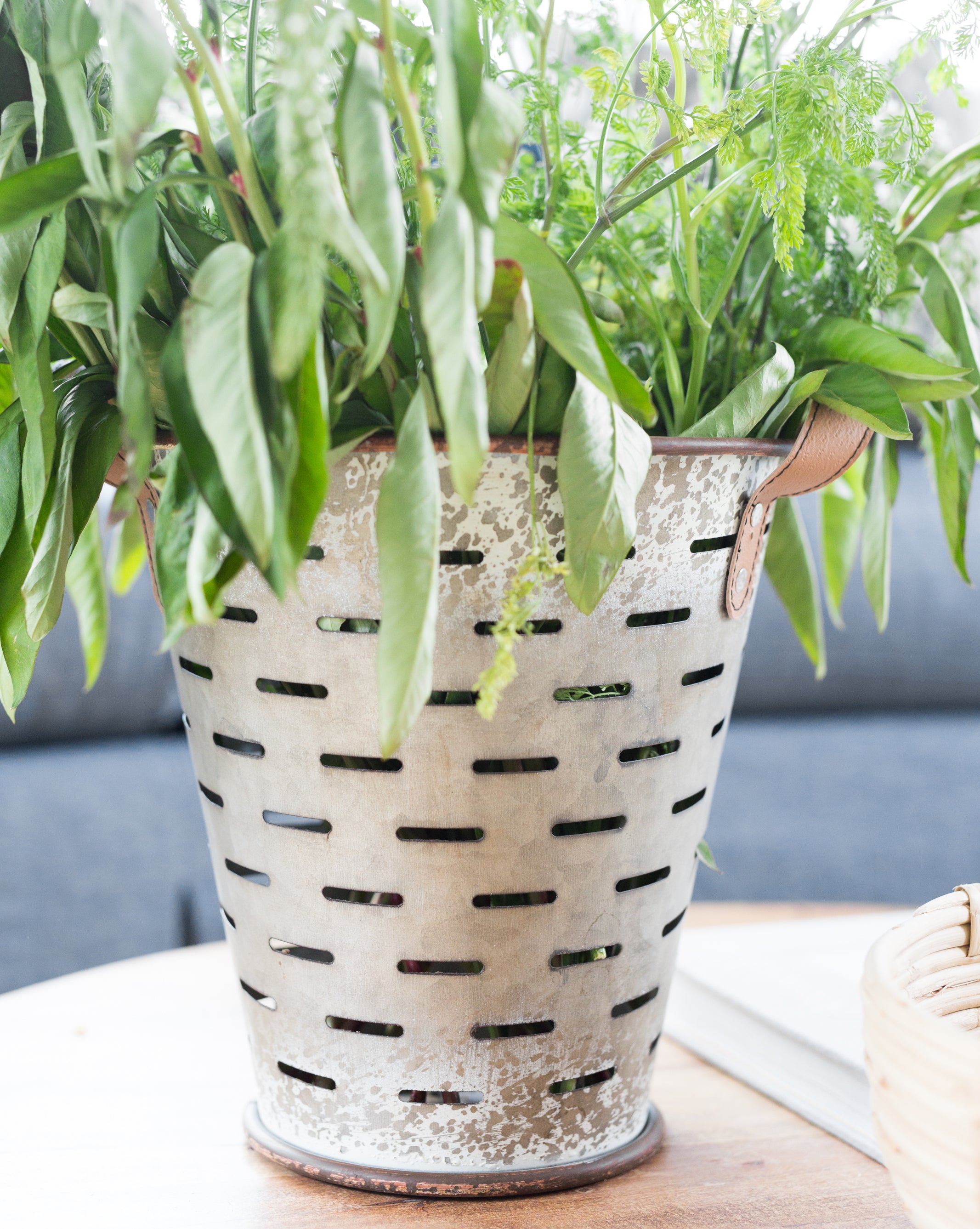 Olive Buckets